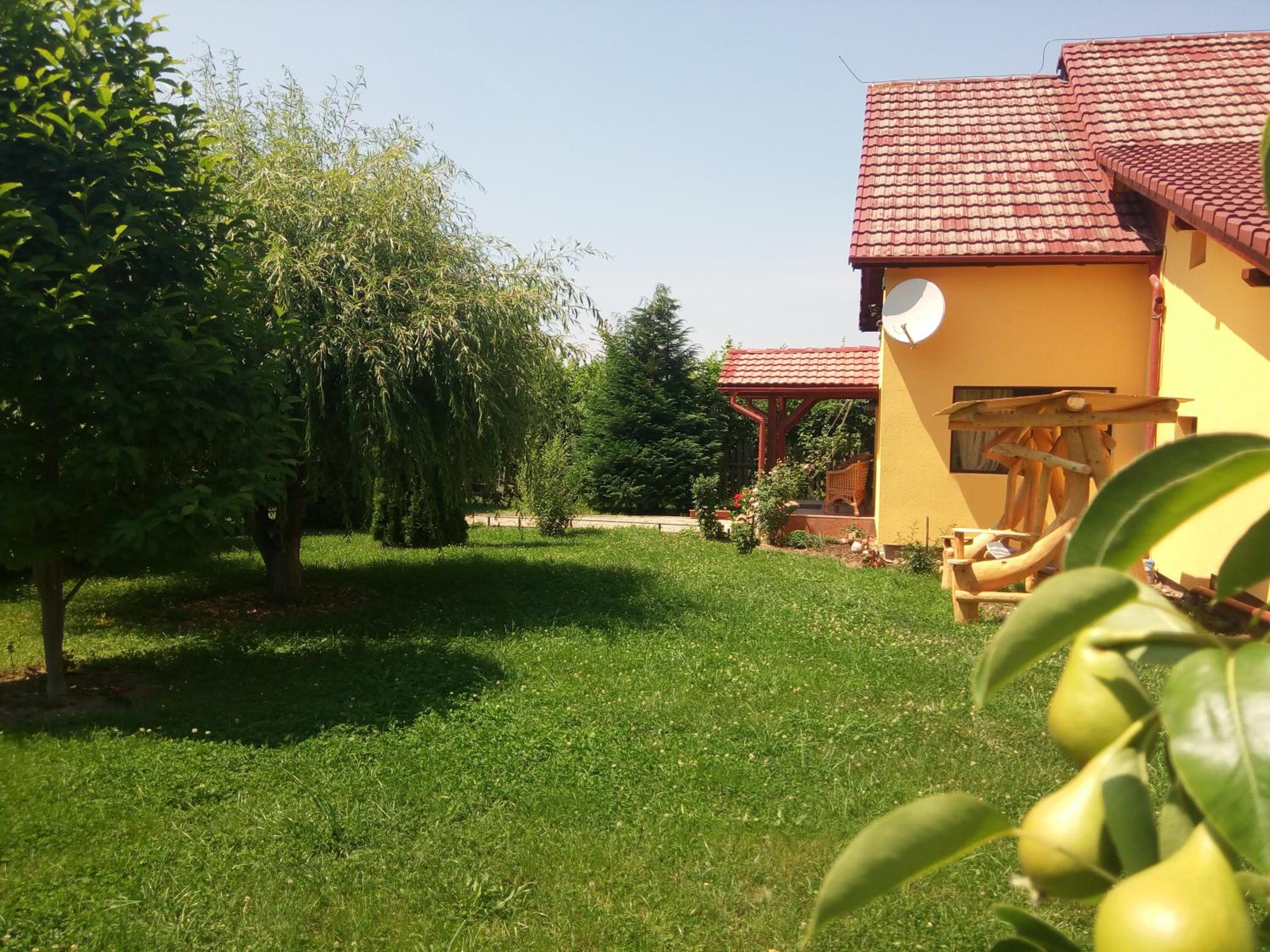 Photo 23