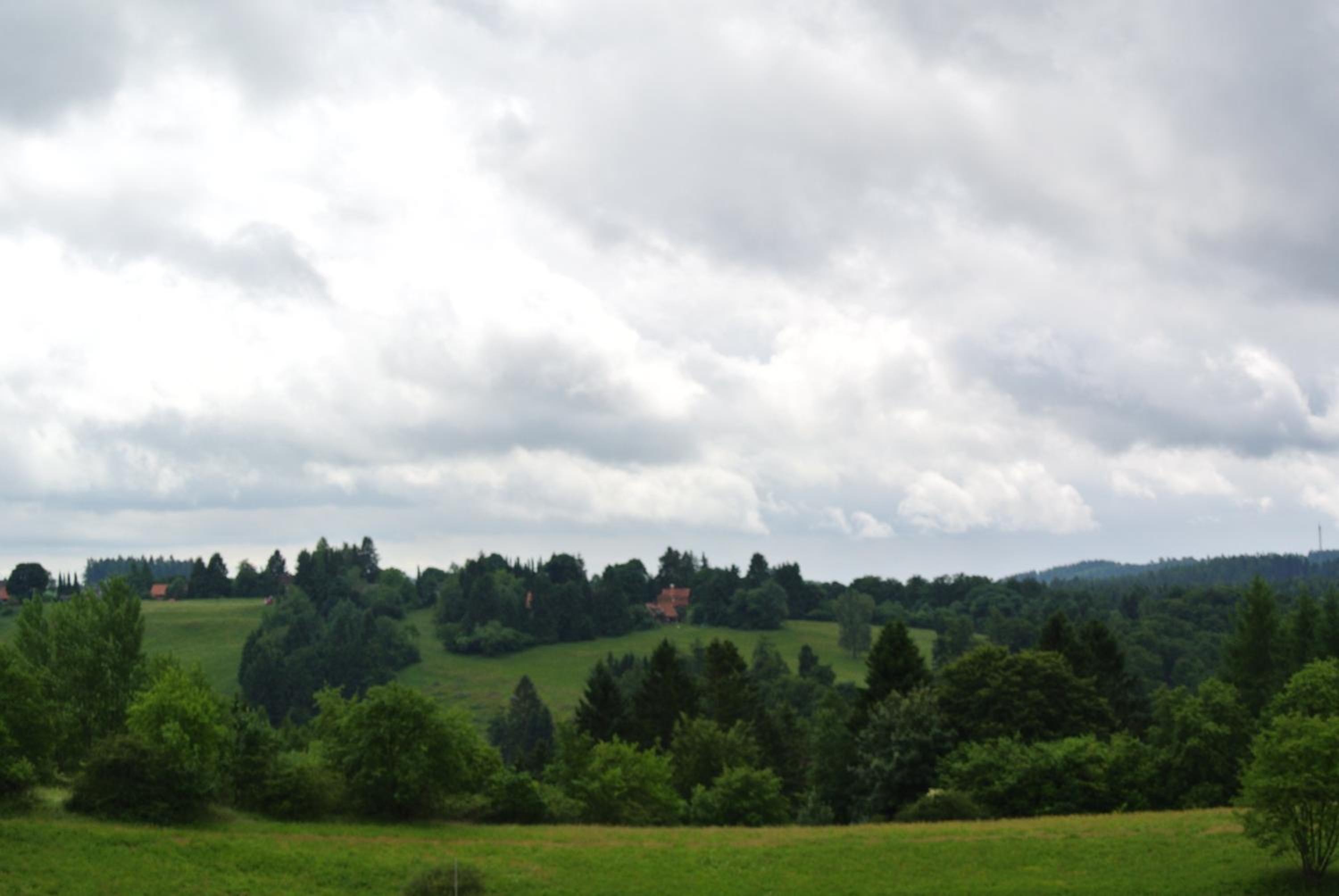 Photo 49