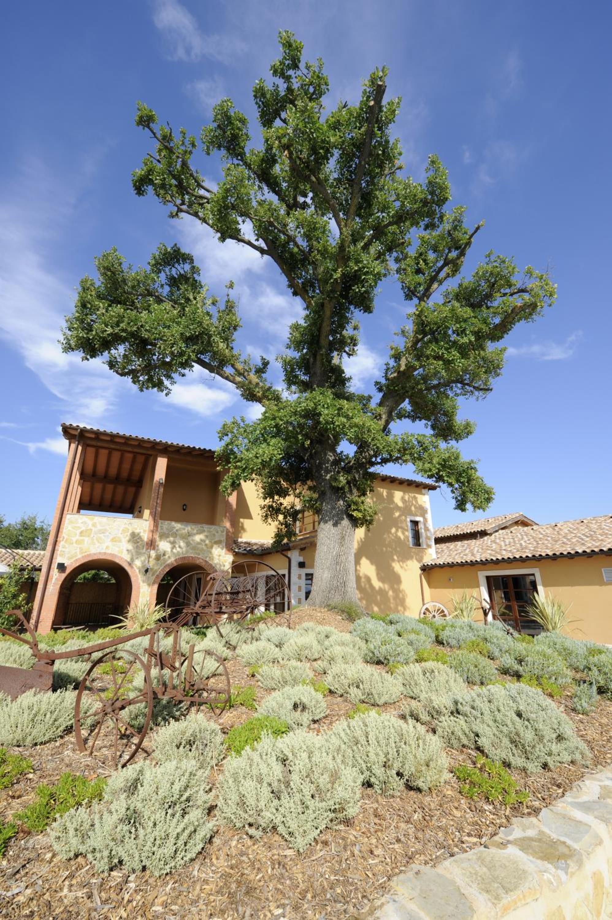 Borgo Magliano Resort