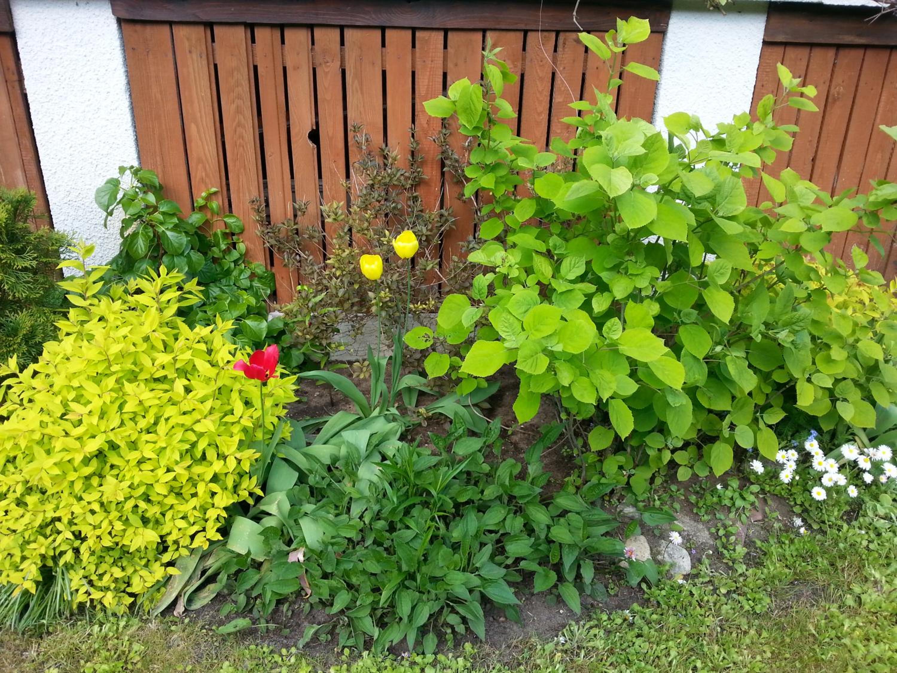 Photo 29