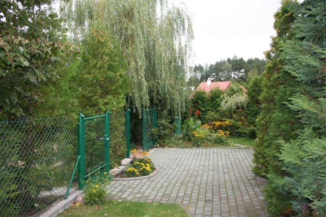 Photo 8