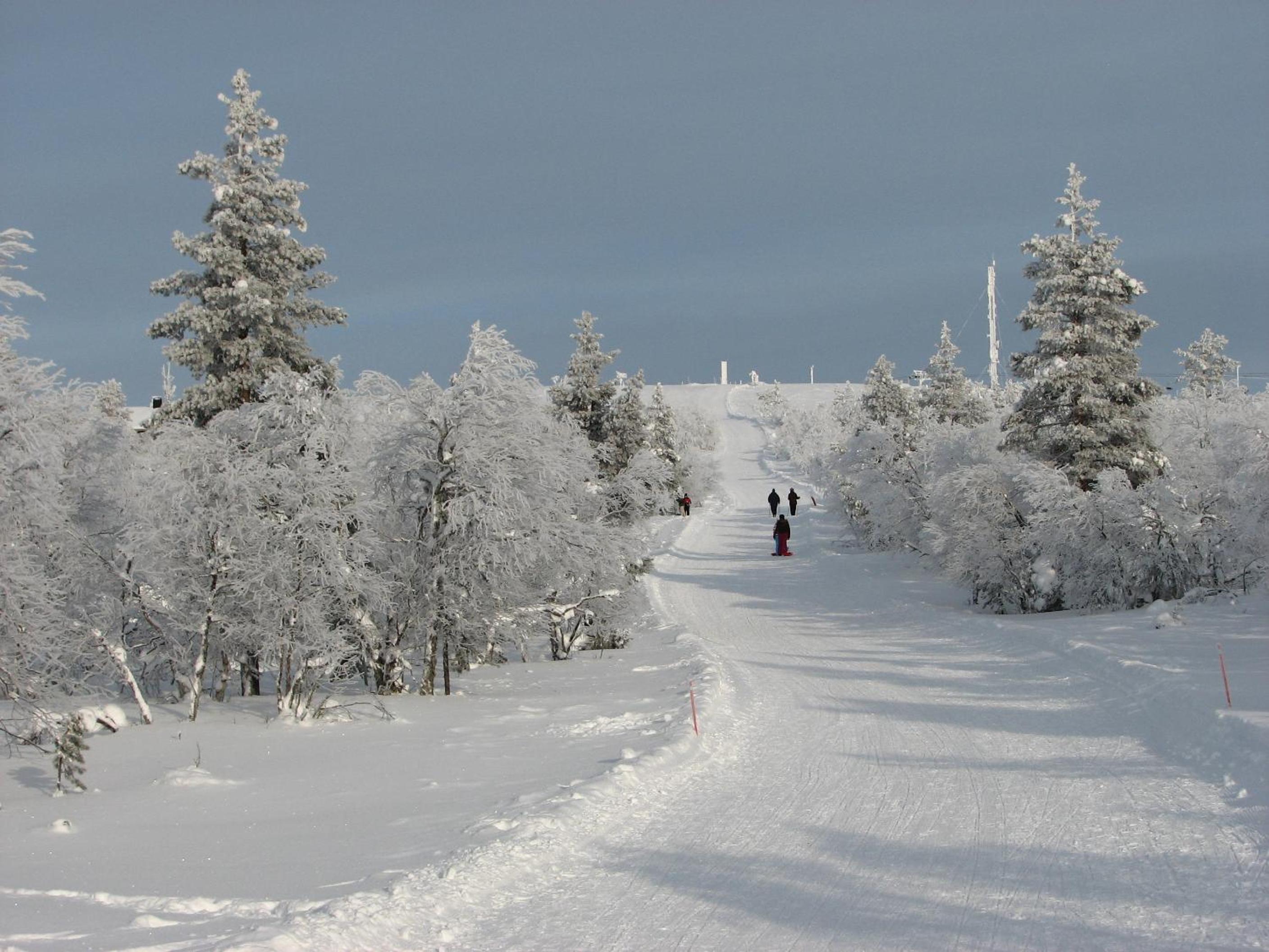 Photo 41