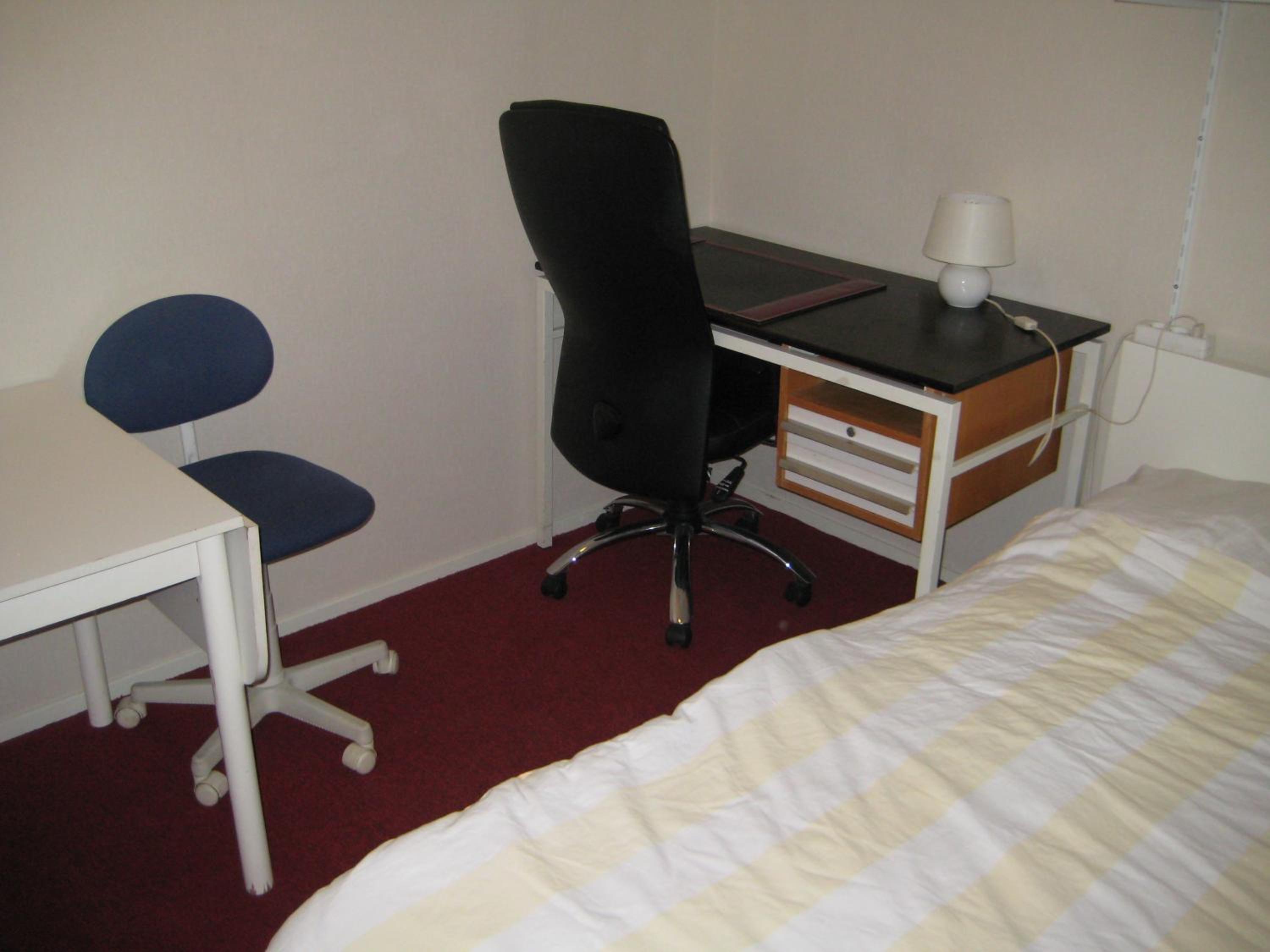 Photo 33