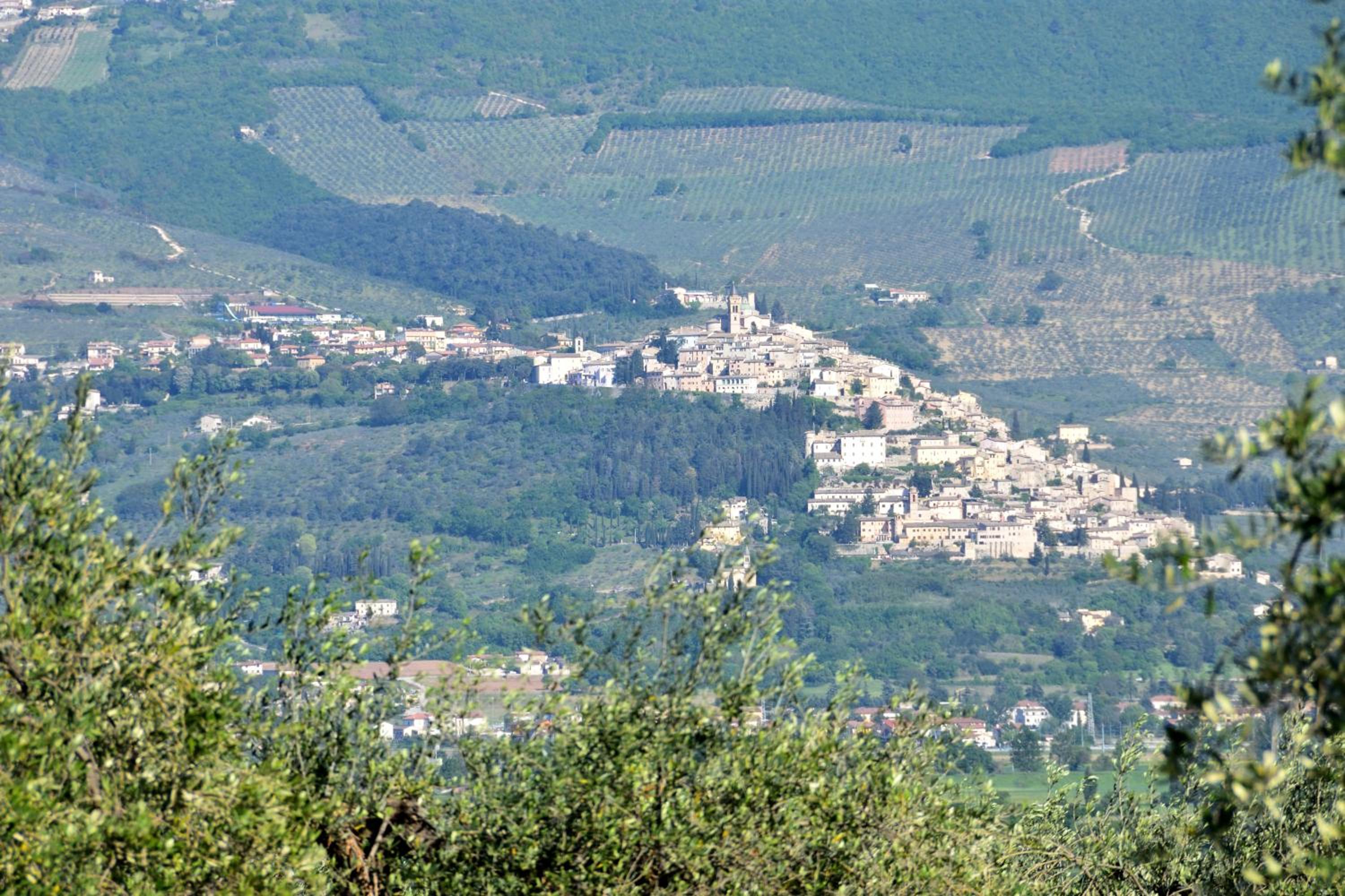 Photo 44