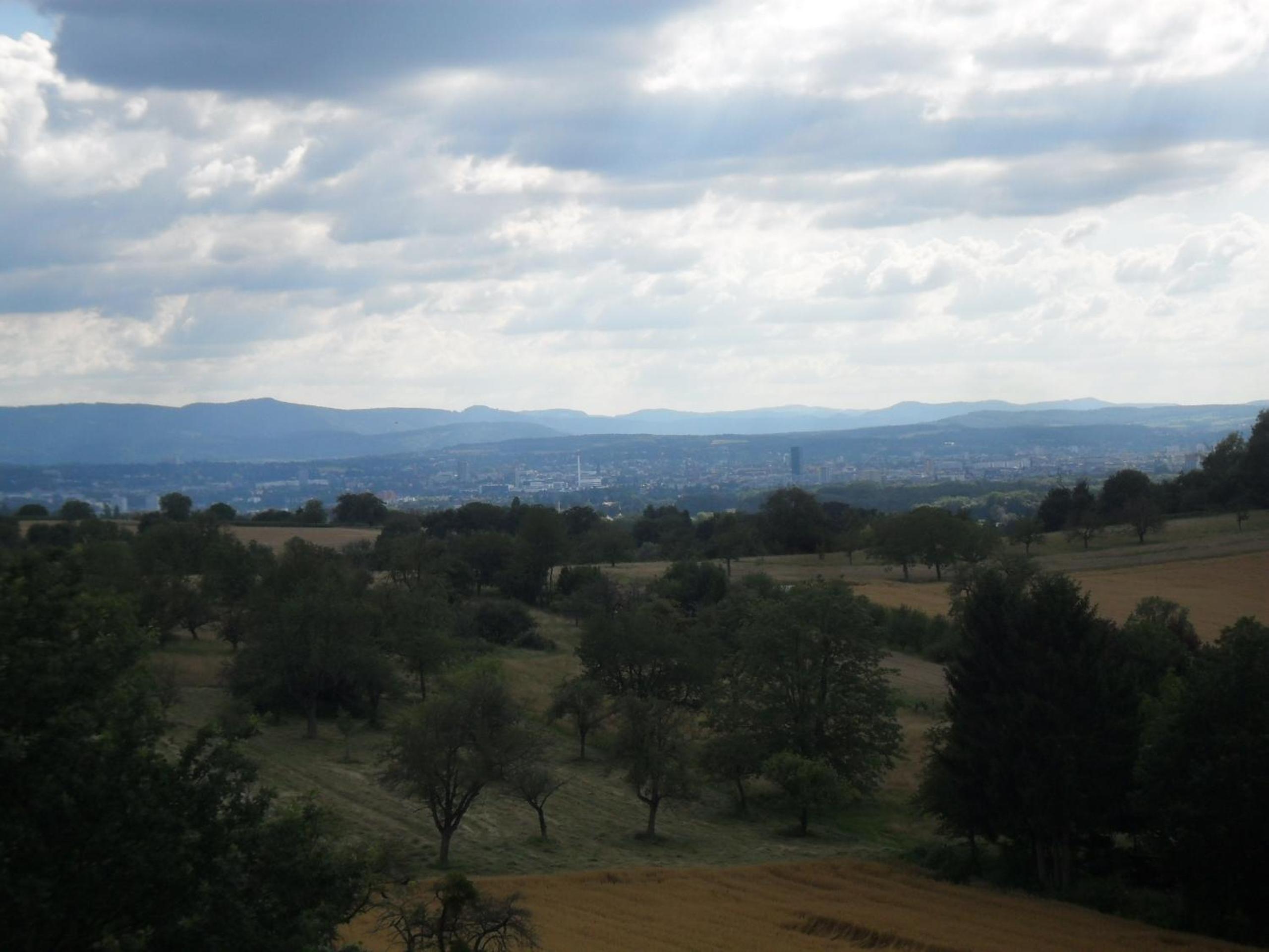 Photo 26