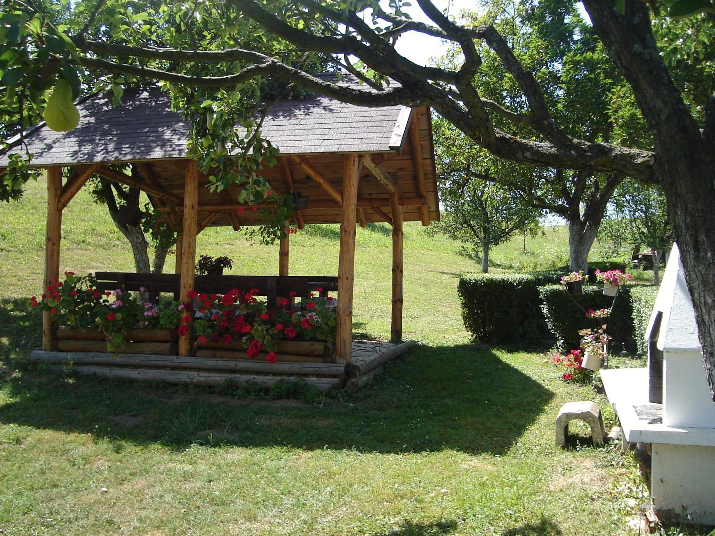 Photo 45