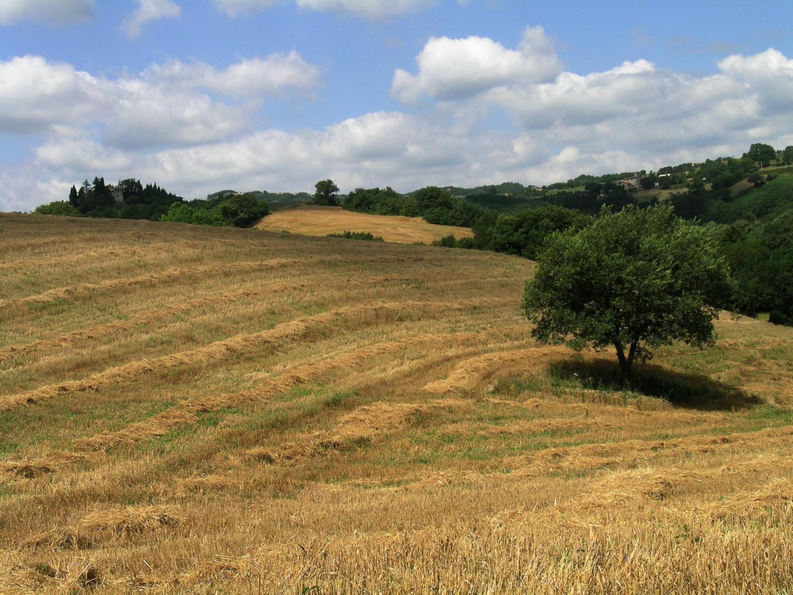 Azienda Agraria Montelujano view 2