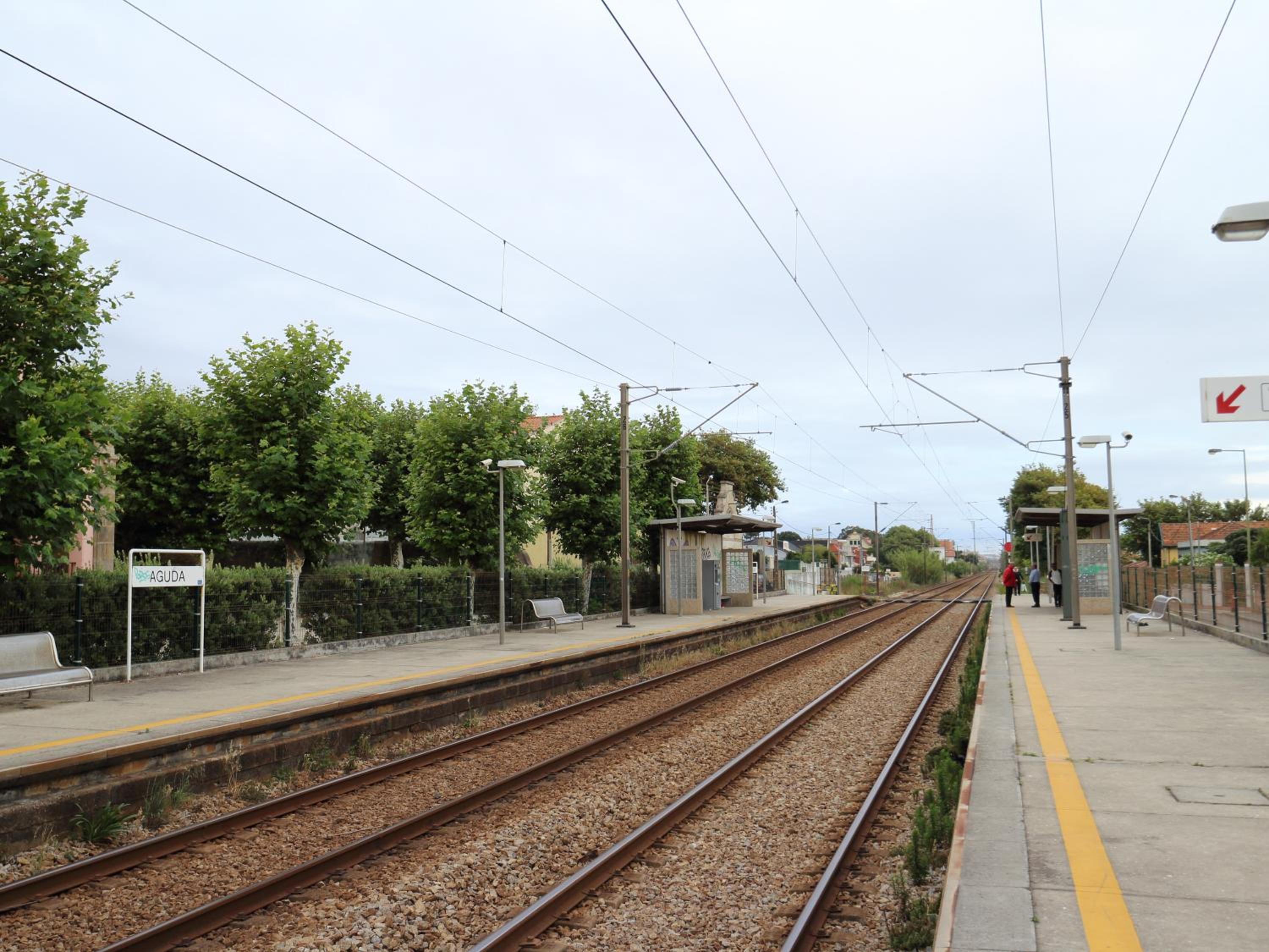 Photo 29