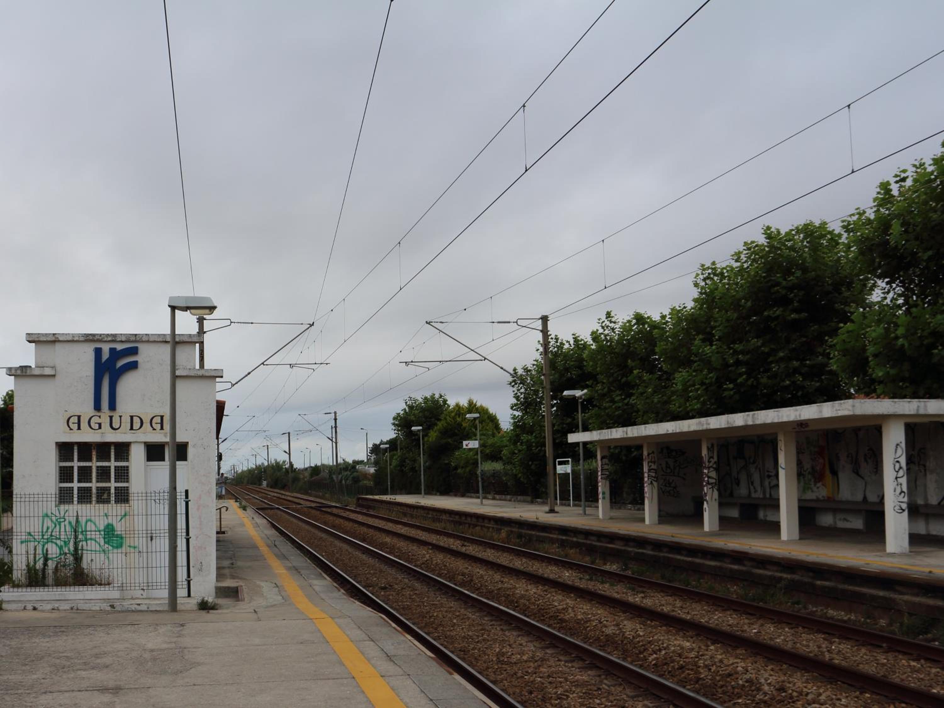 Photo 31