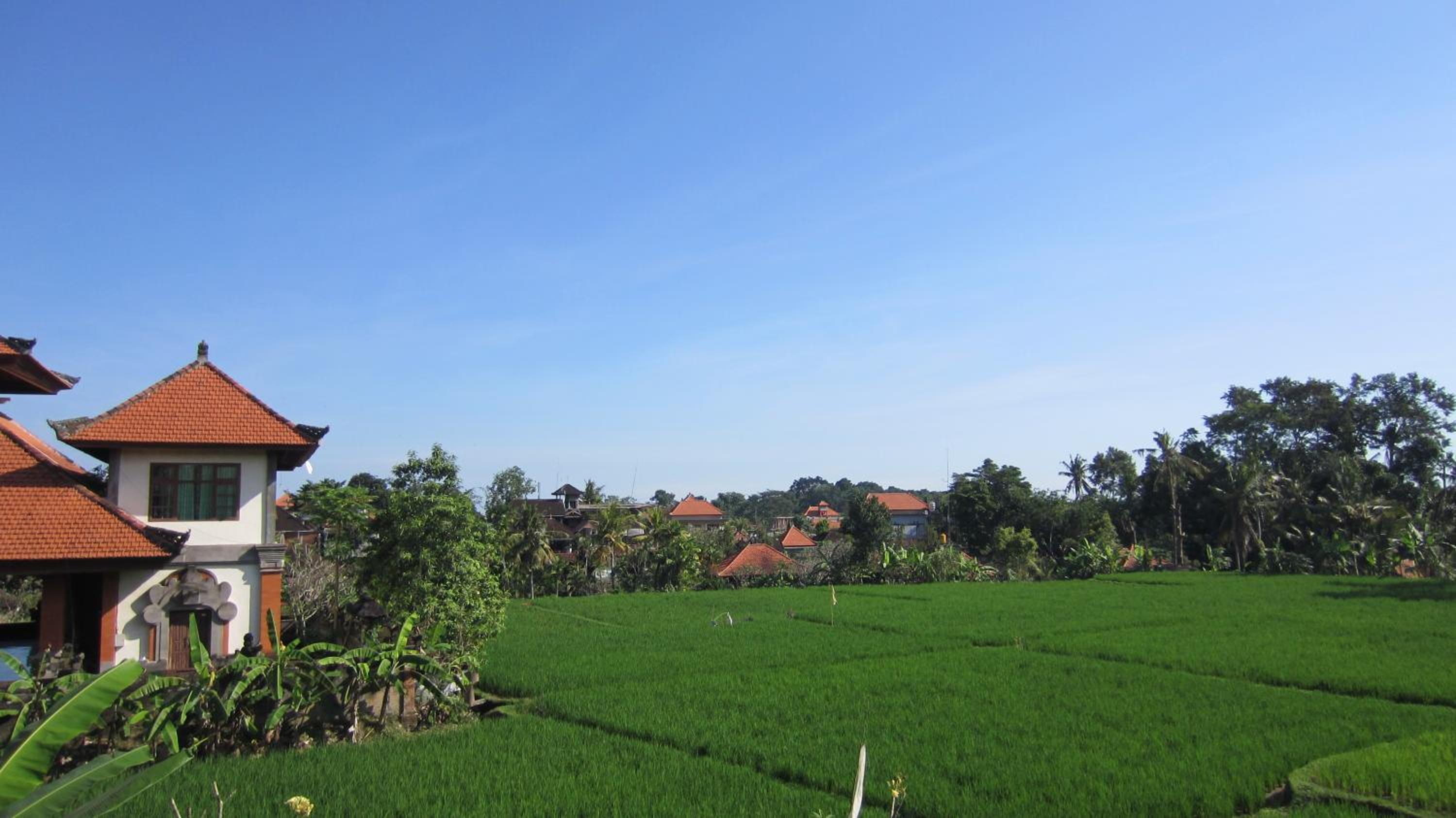 Danasari Homestay
