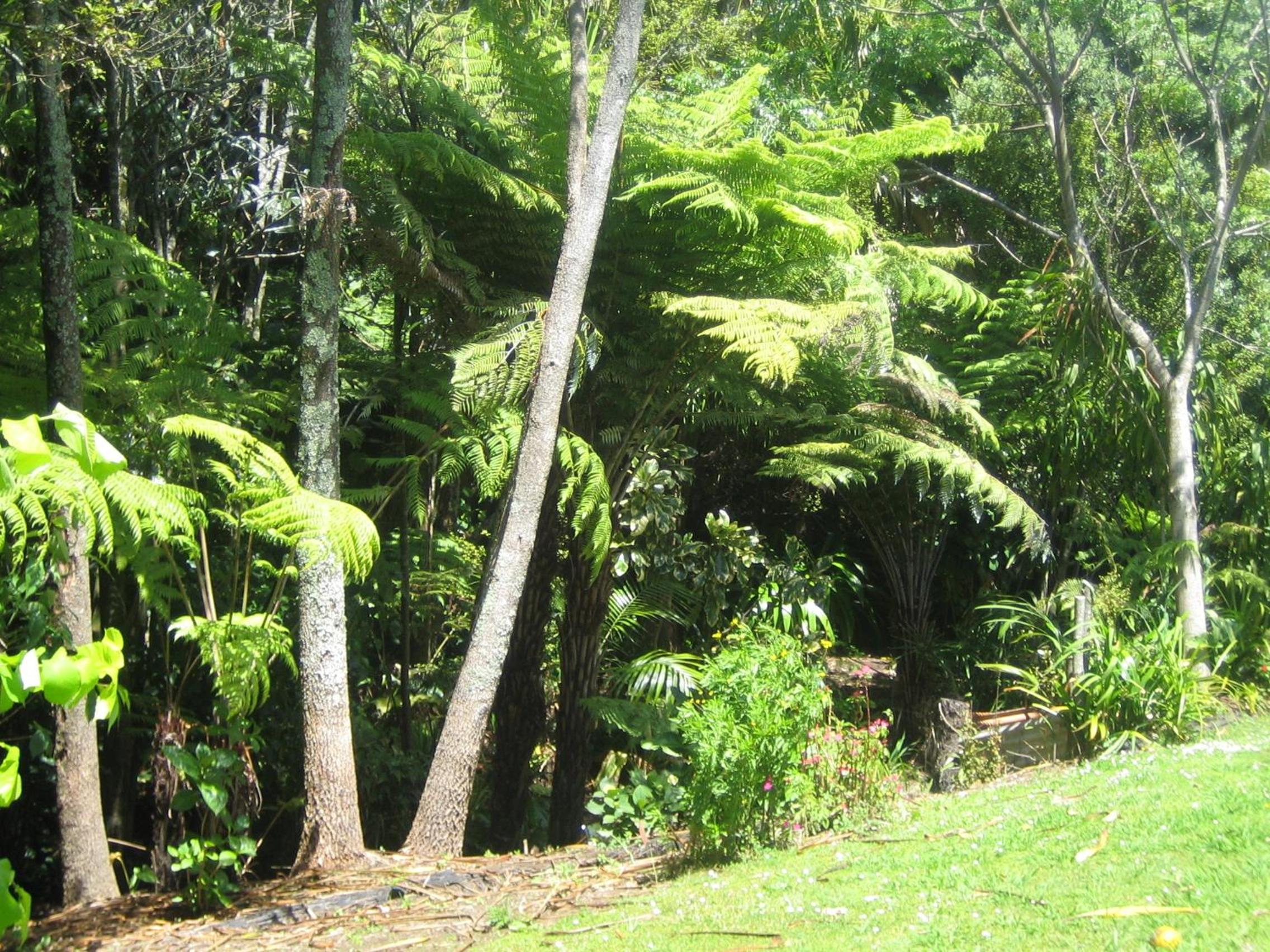 Photo 43