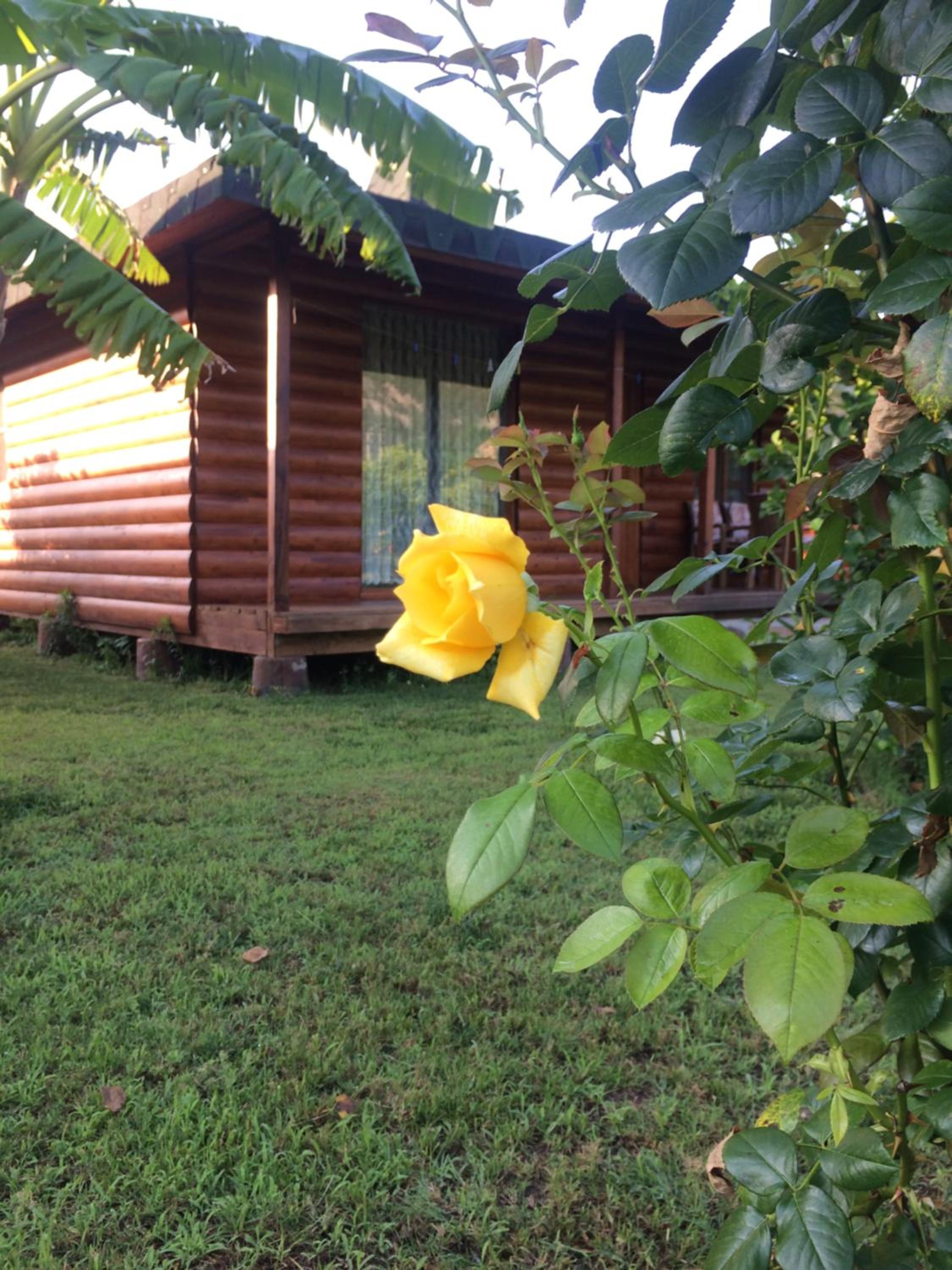 Photo 22