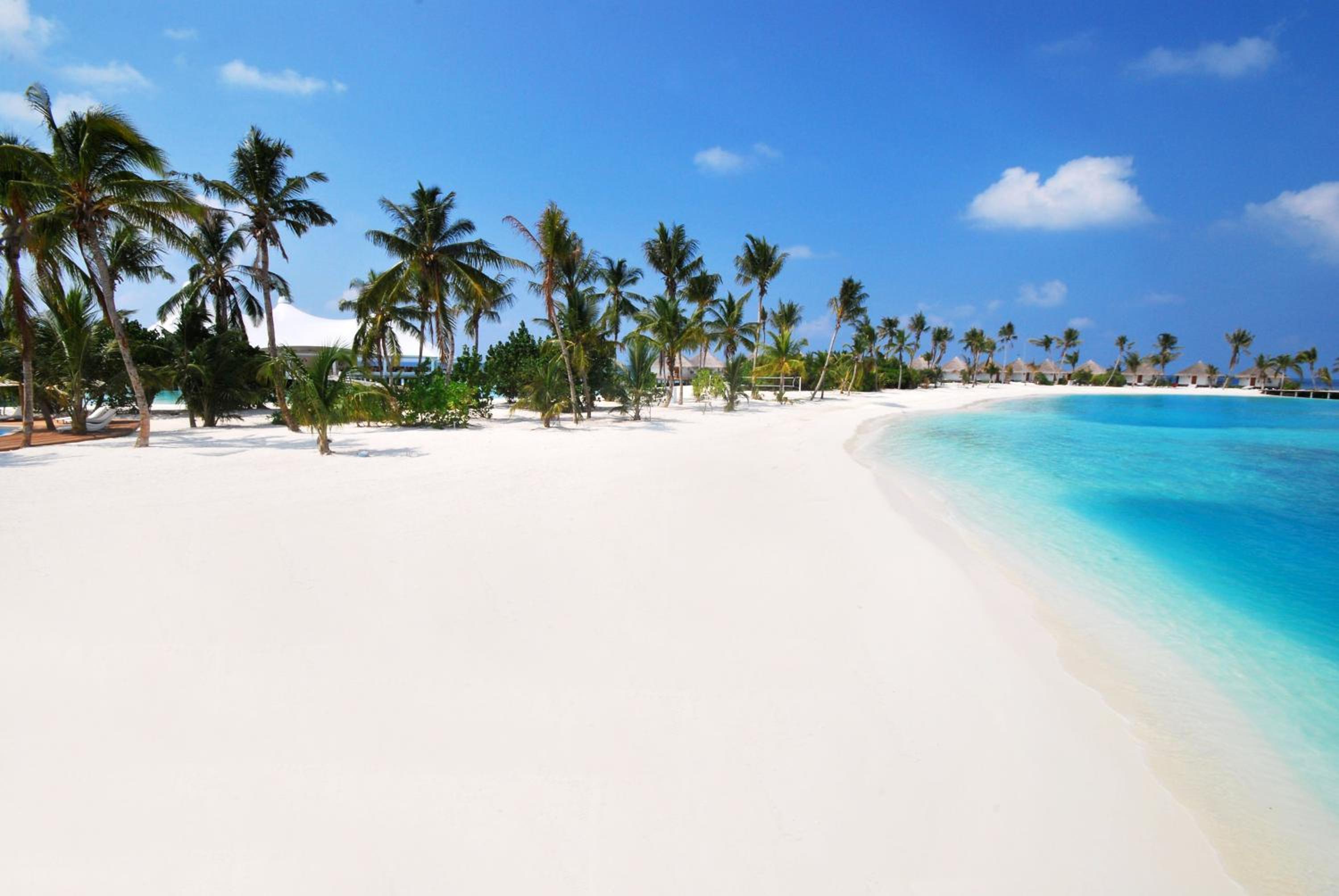 Safari Island