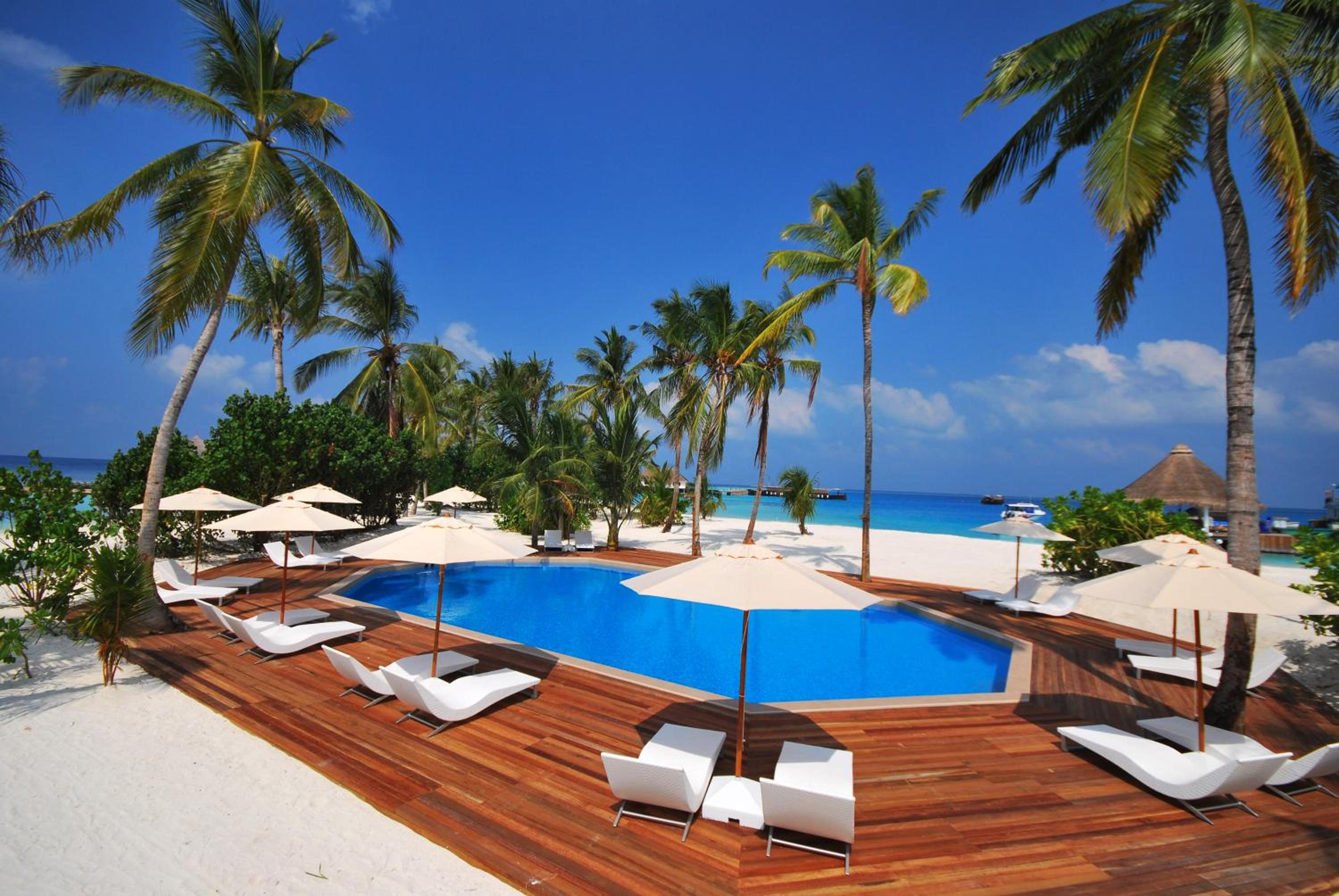 Safari Island