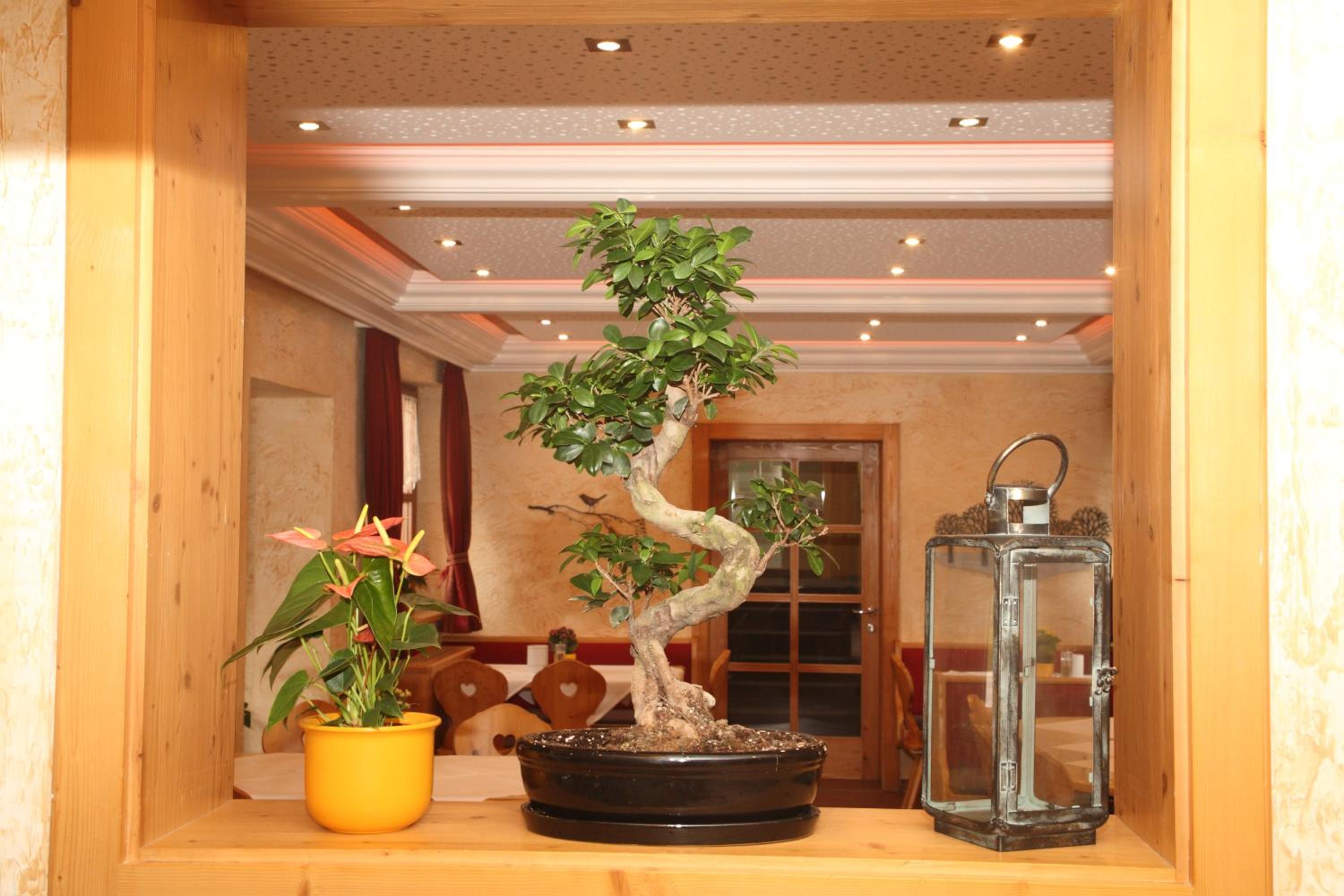 Golf & Skipension Krug