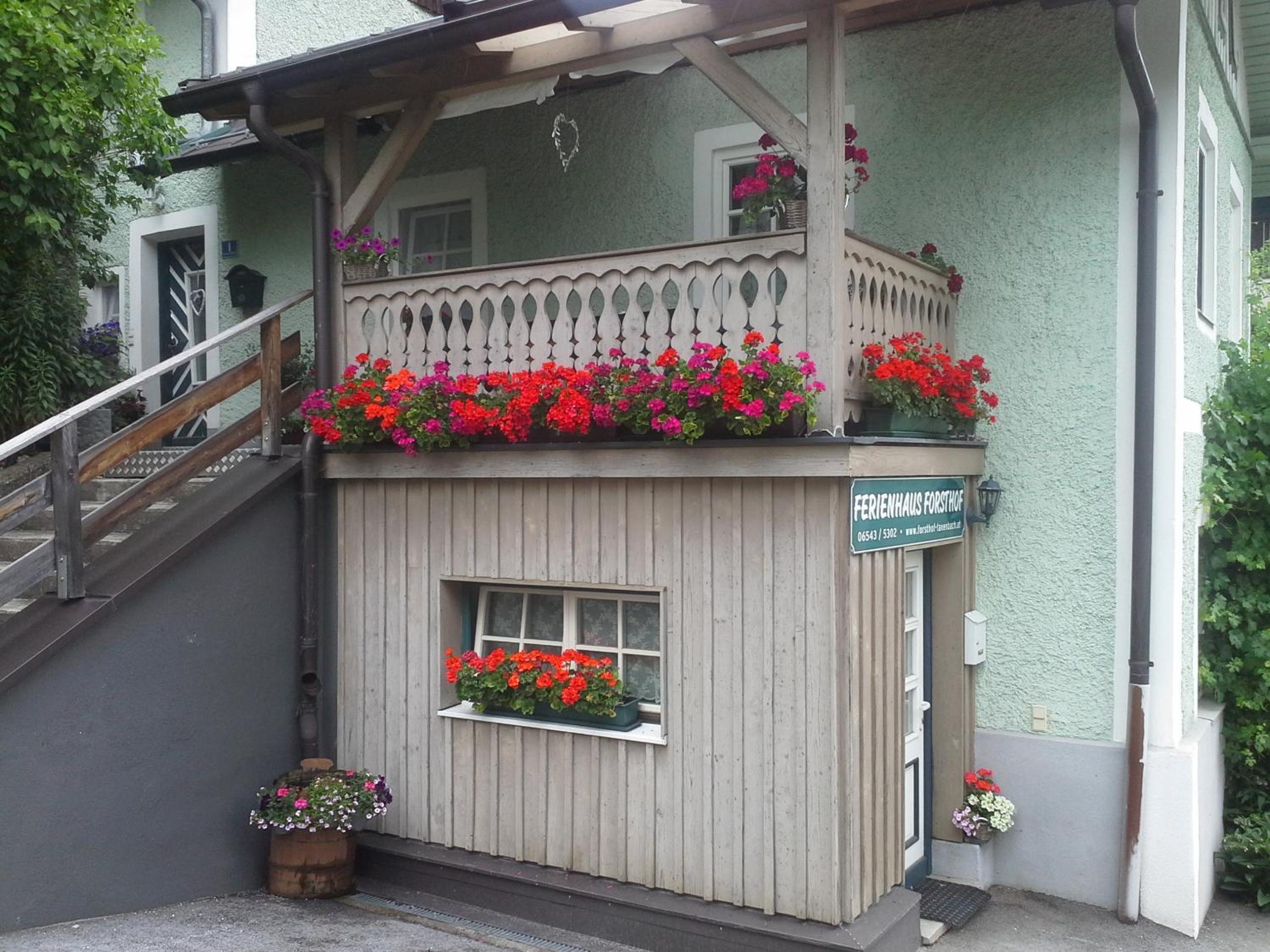 Ferienhaus Forsthof