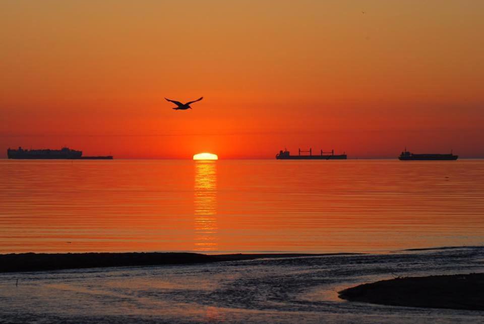 Apartamenty Sun&Sea