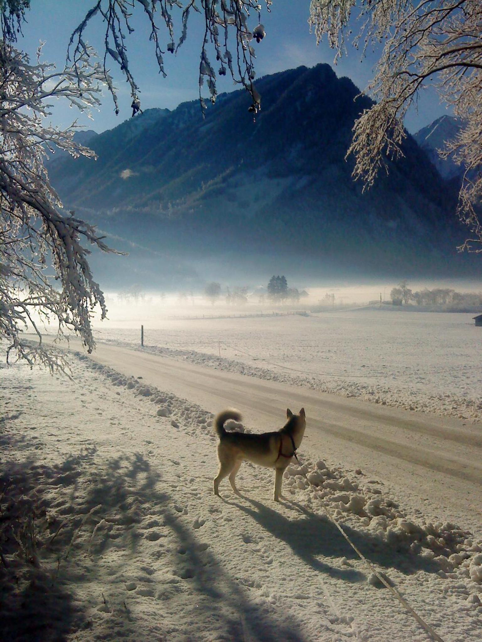 Photo 24