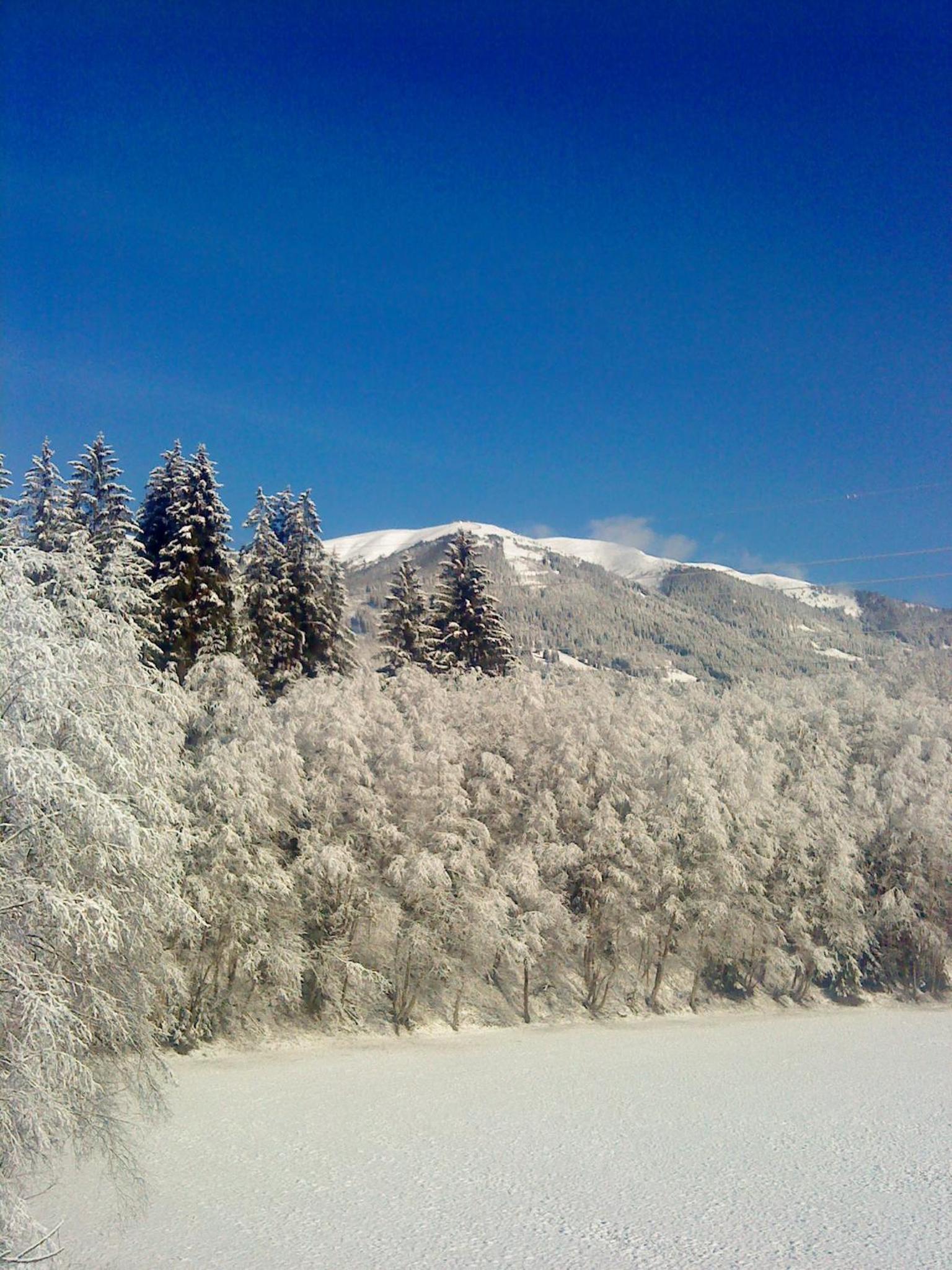 Appartement Wildkogel view 3