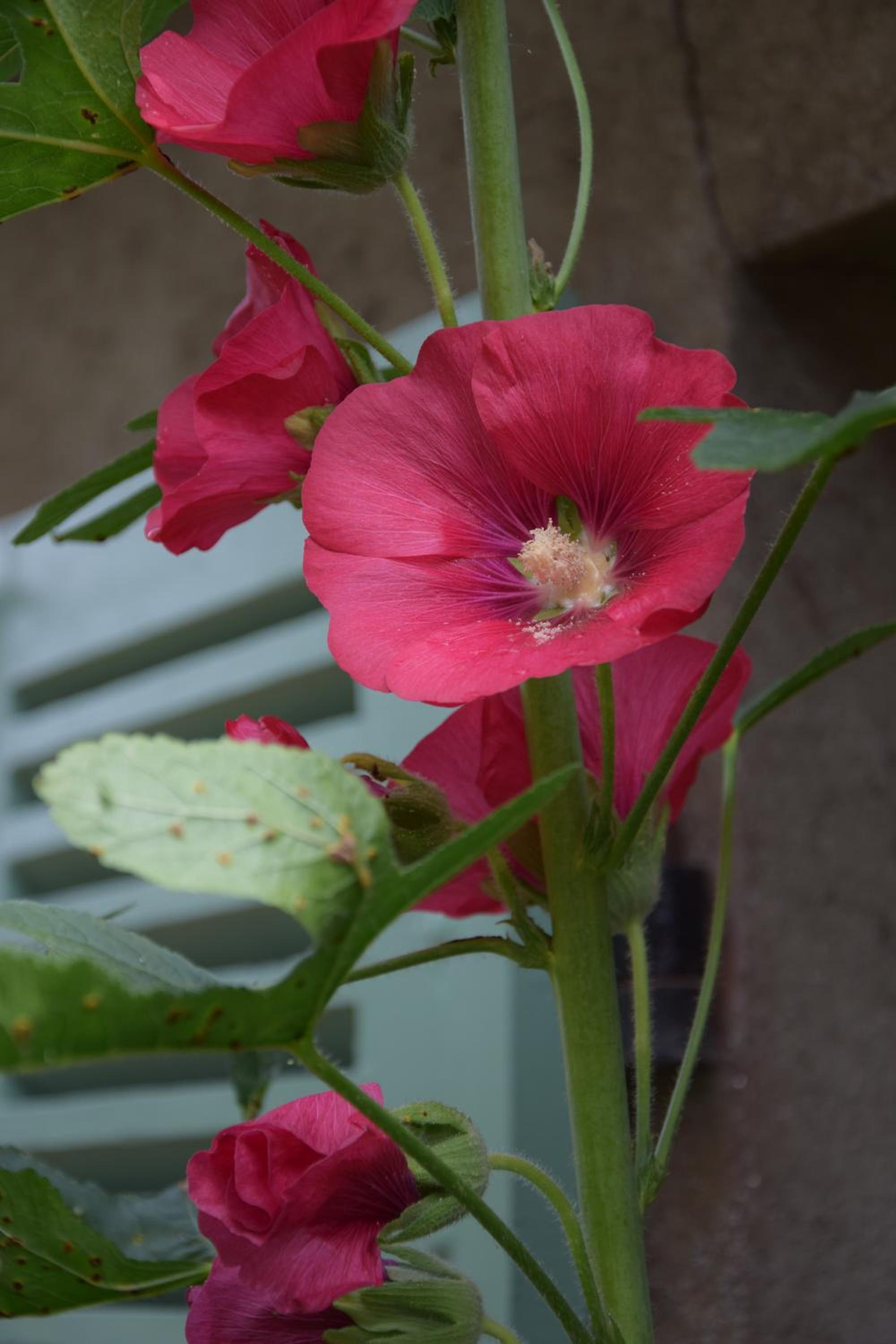 Photo 25