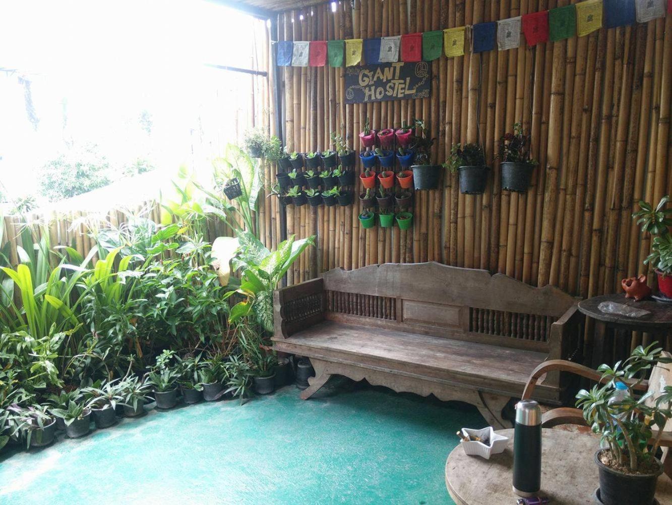 J Giant Hostel