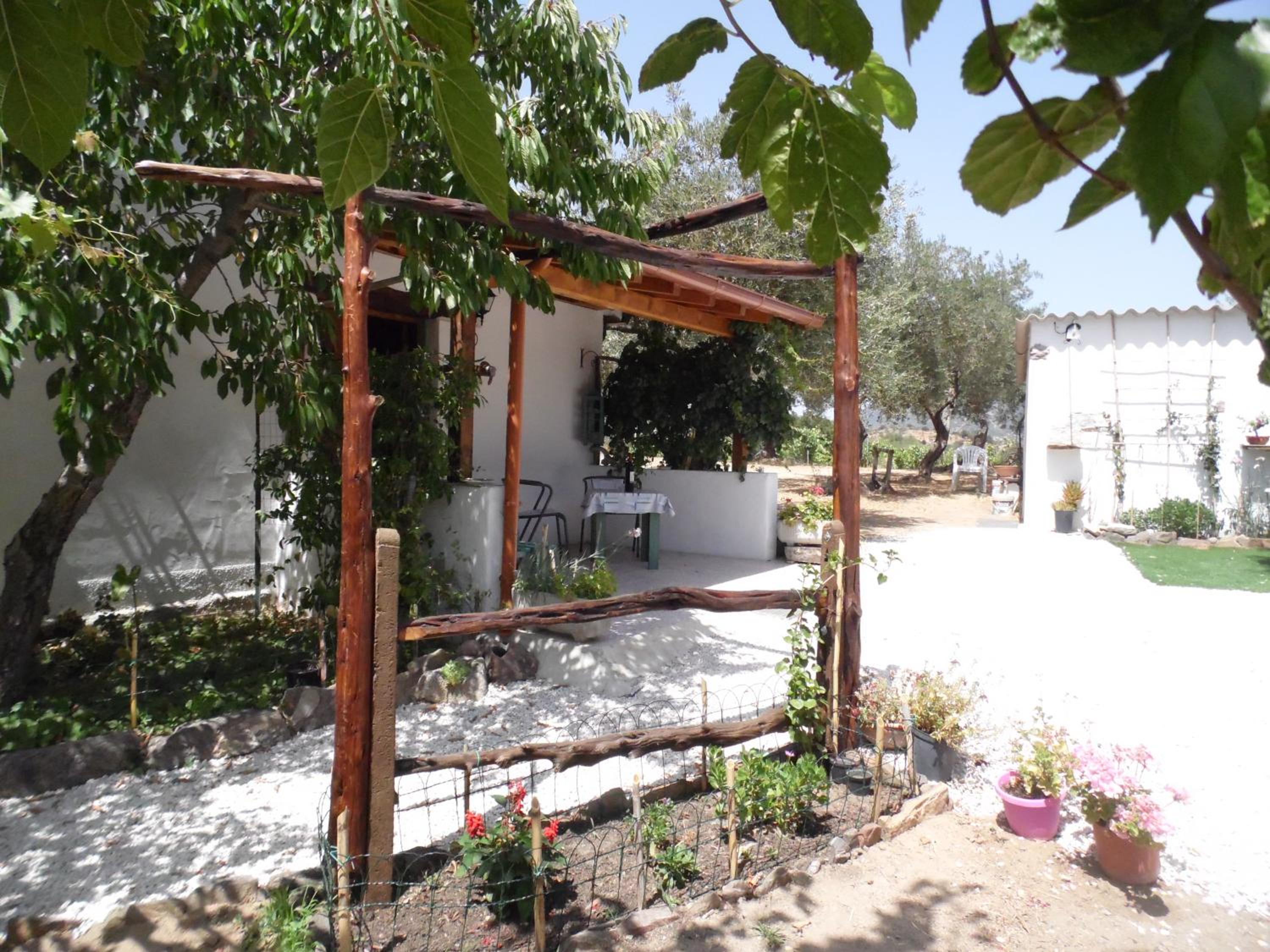Villa L'Oliveto view 4