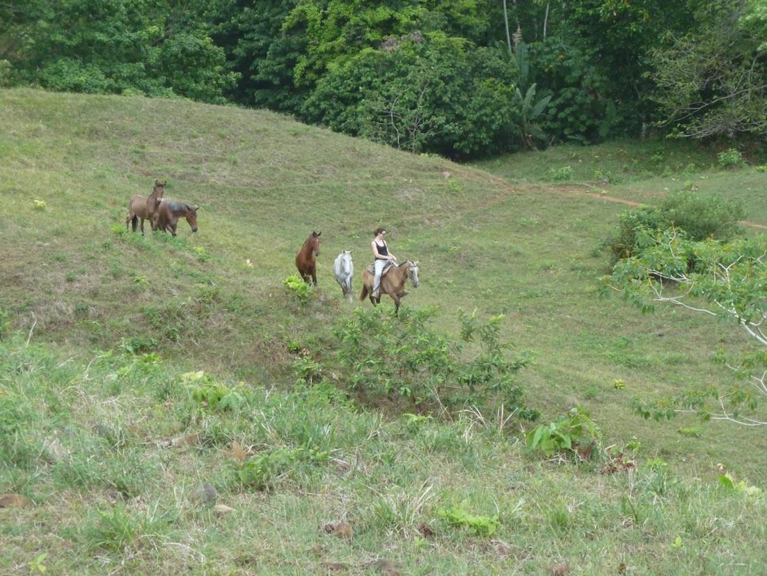 Finca El Regalo