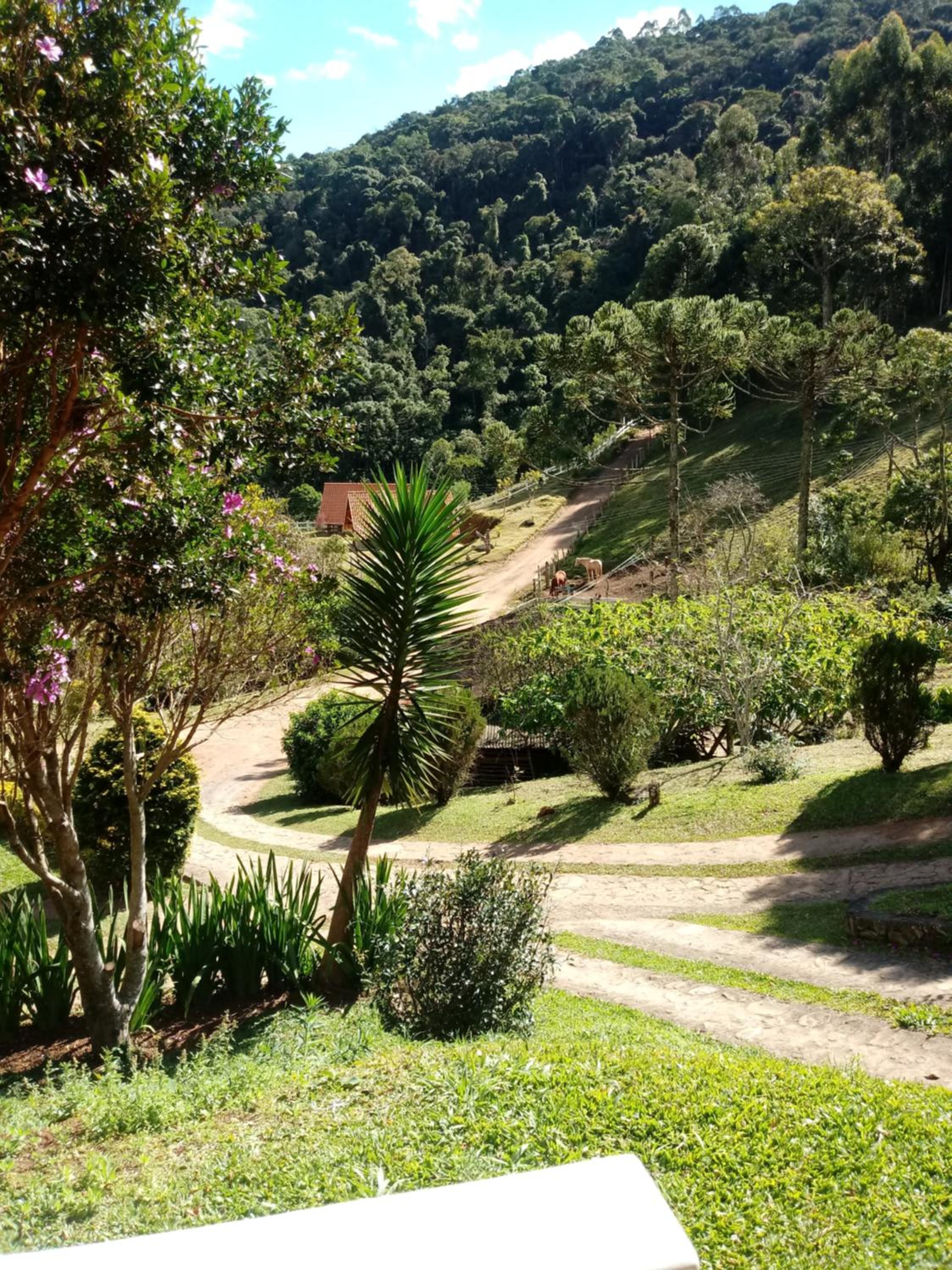 Chalés Fazenda Vale da Mata