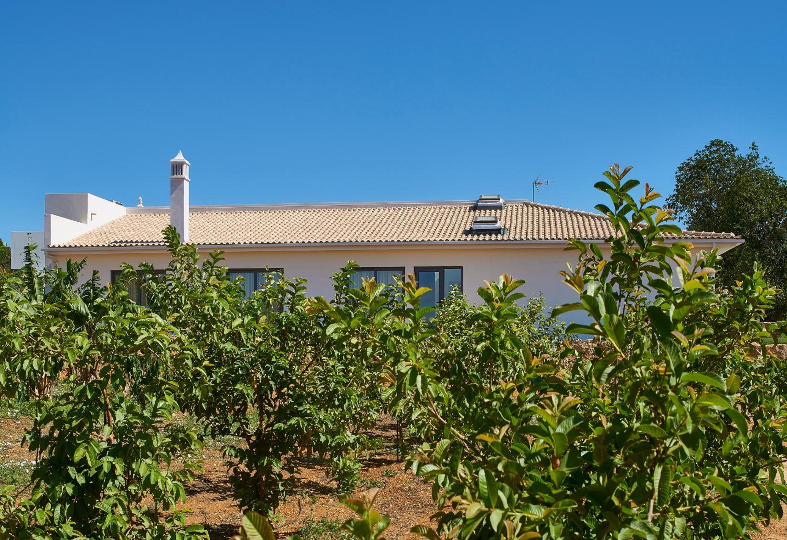 Mercedes Country House