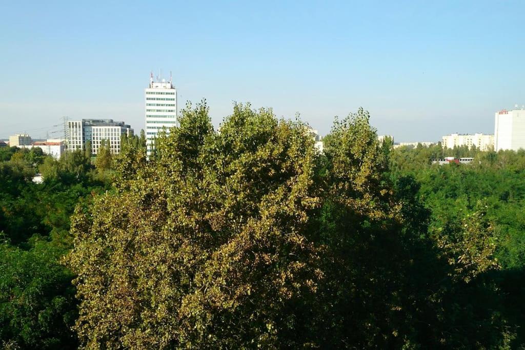 1 Bedroom Francuska Park Apartment