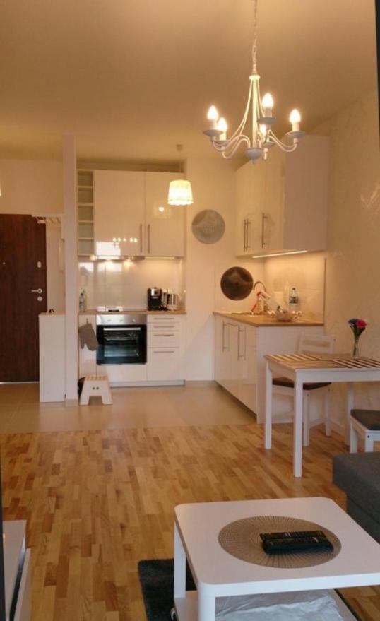 1 Bedroom Francuska Park Apartment