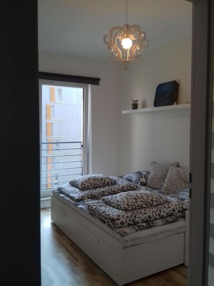 1 Bedroom Francuska Park Apartment