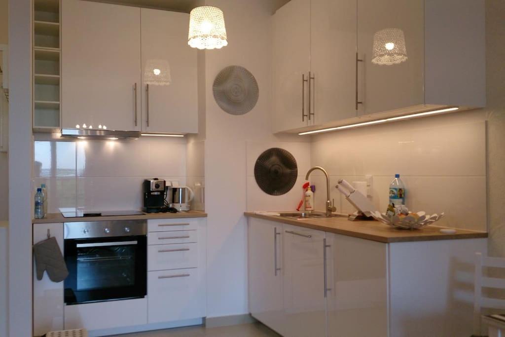 1 Bedroom Francuska Park Apartment