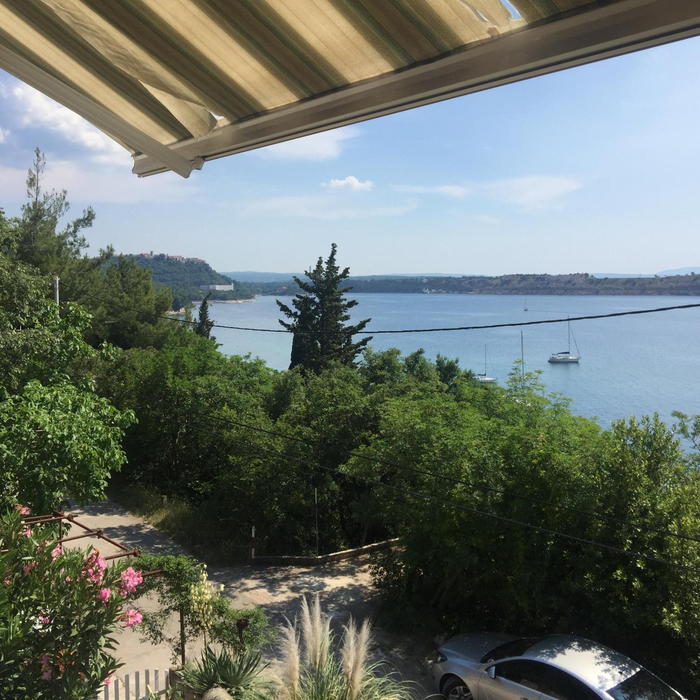 Apartman Cvenkica