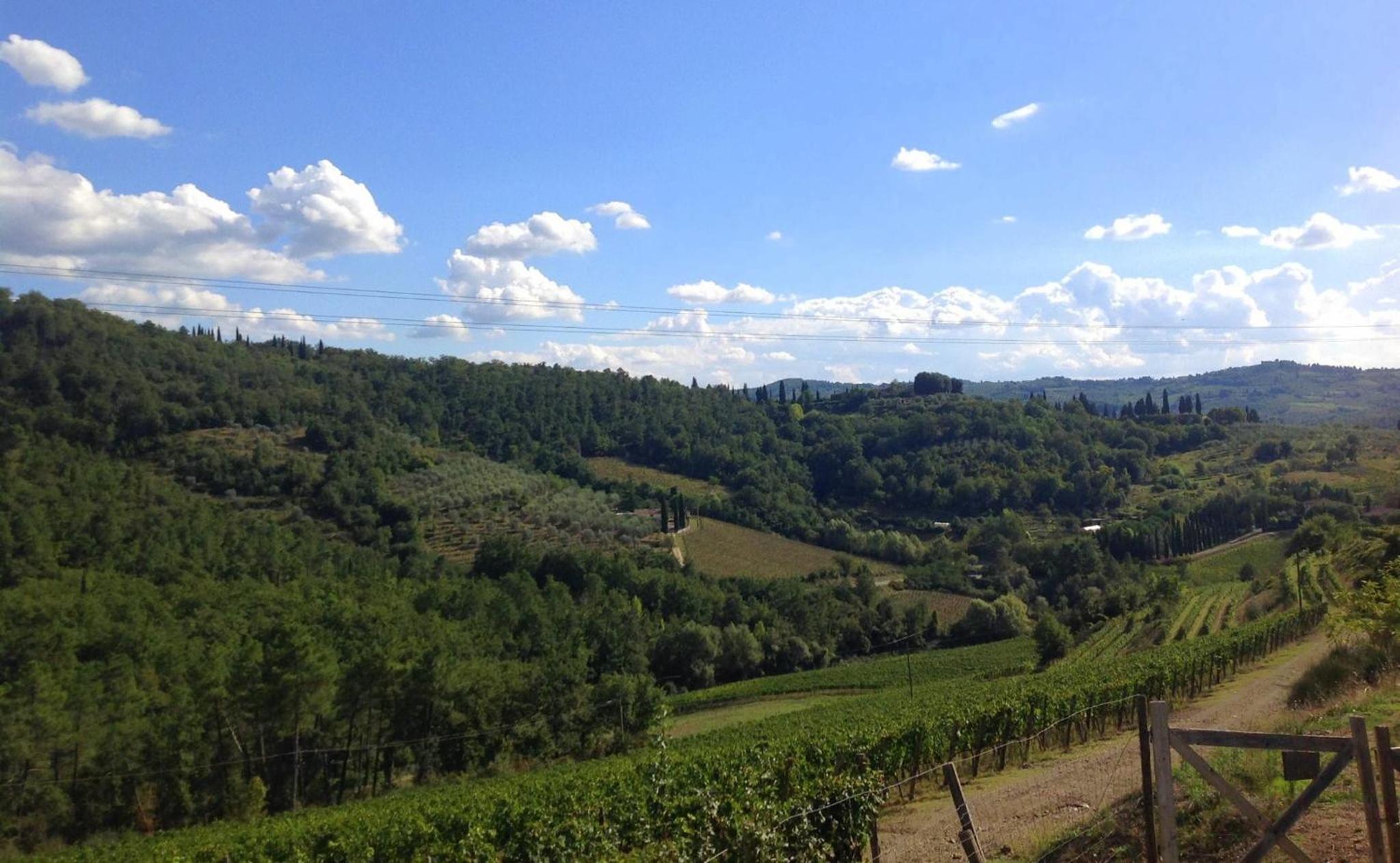 Agriturismo La Camporena