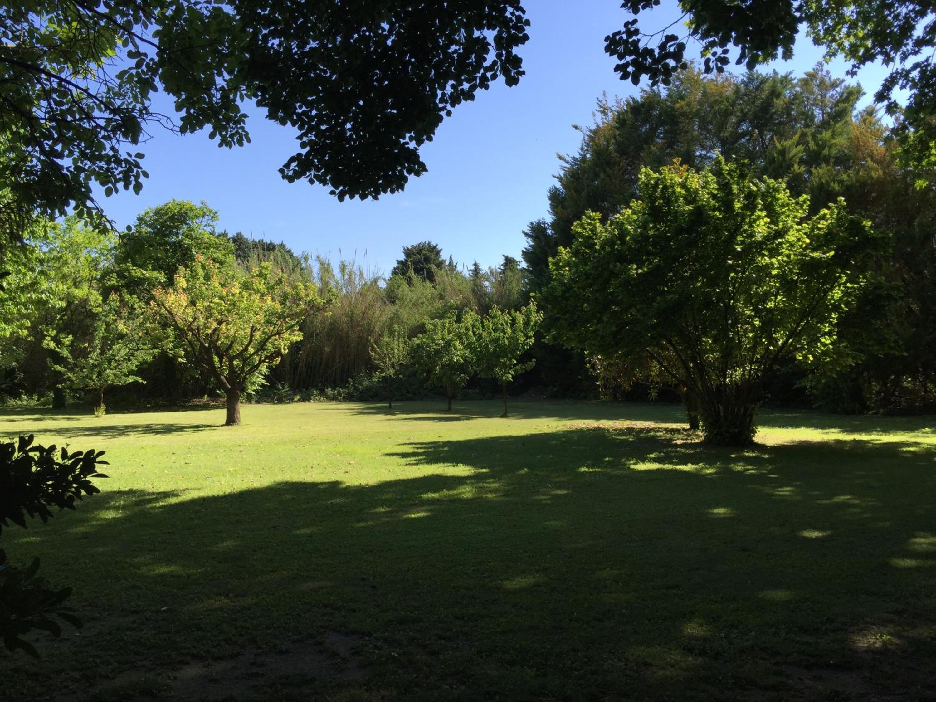 Photo 26