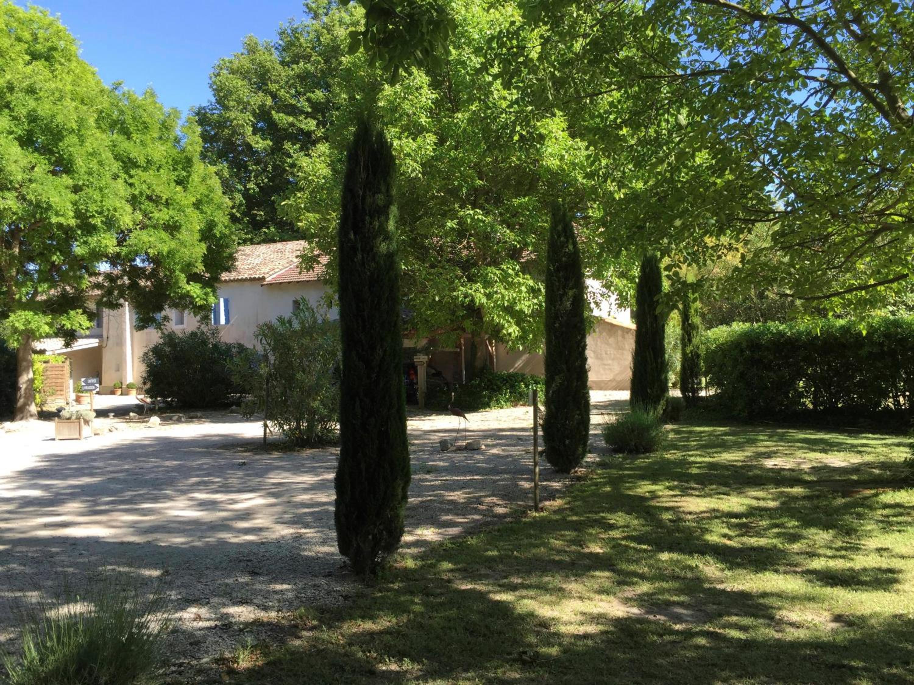 Photo 21