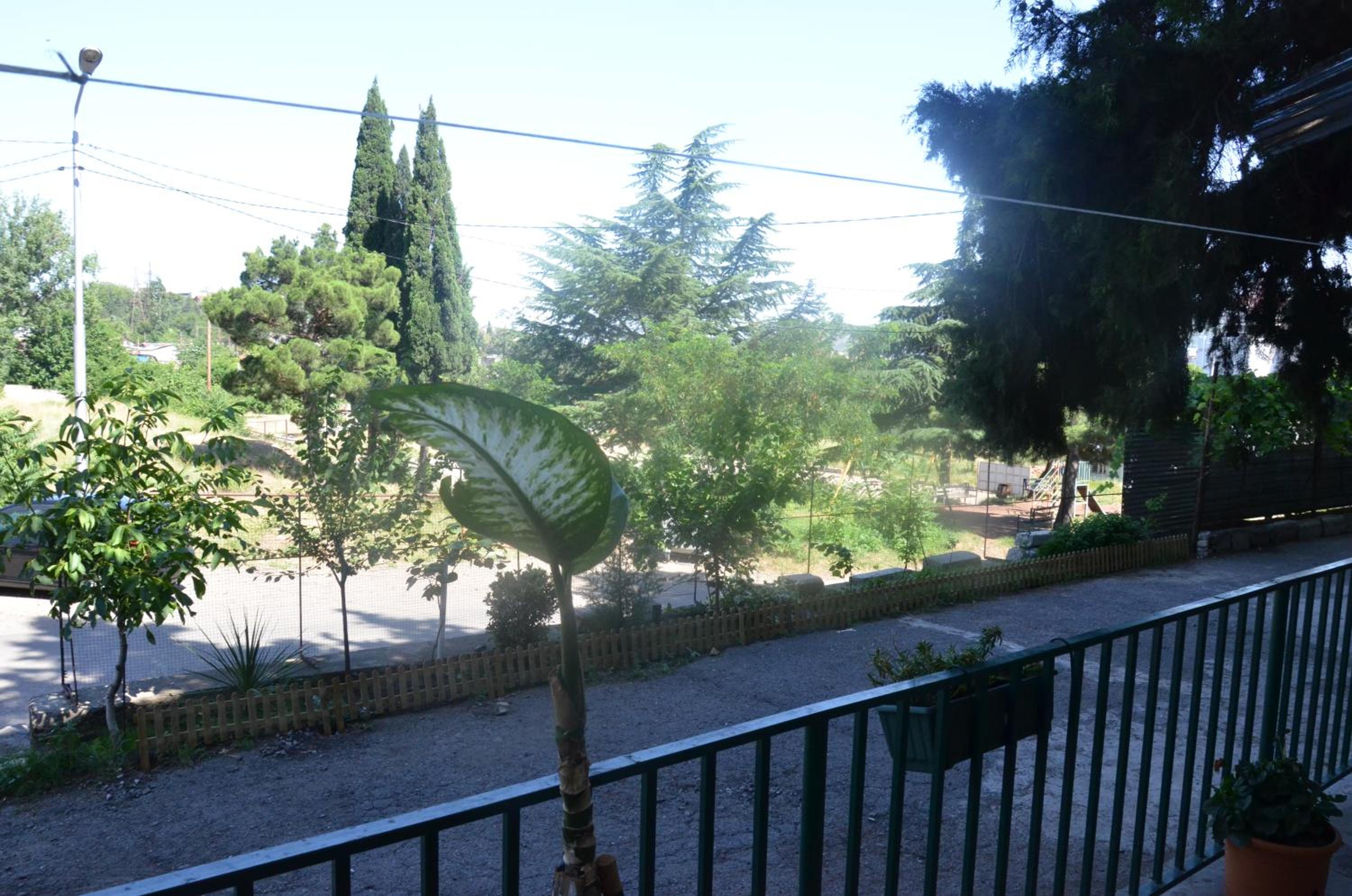 Nano Guest House view 5
