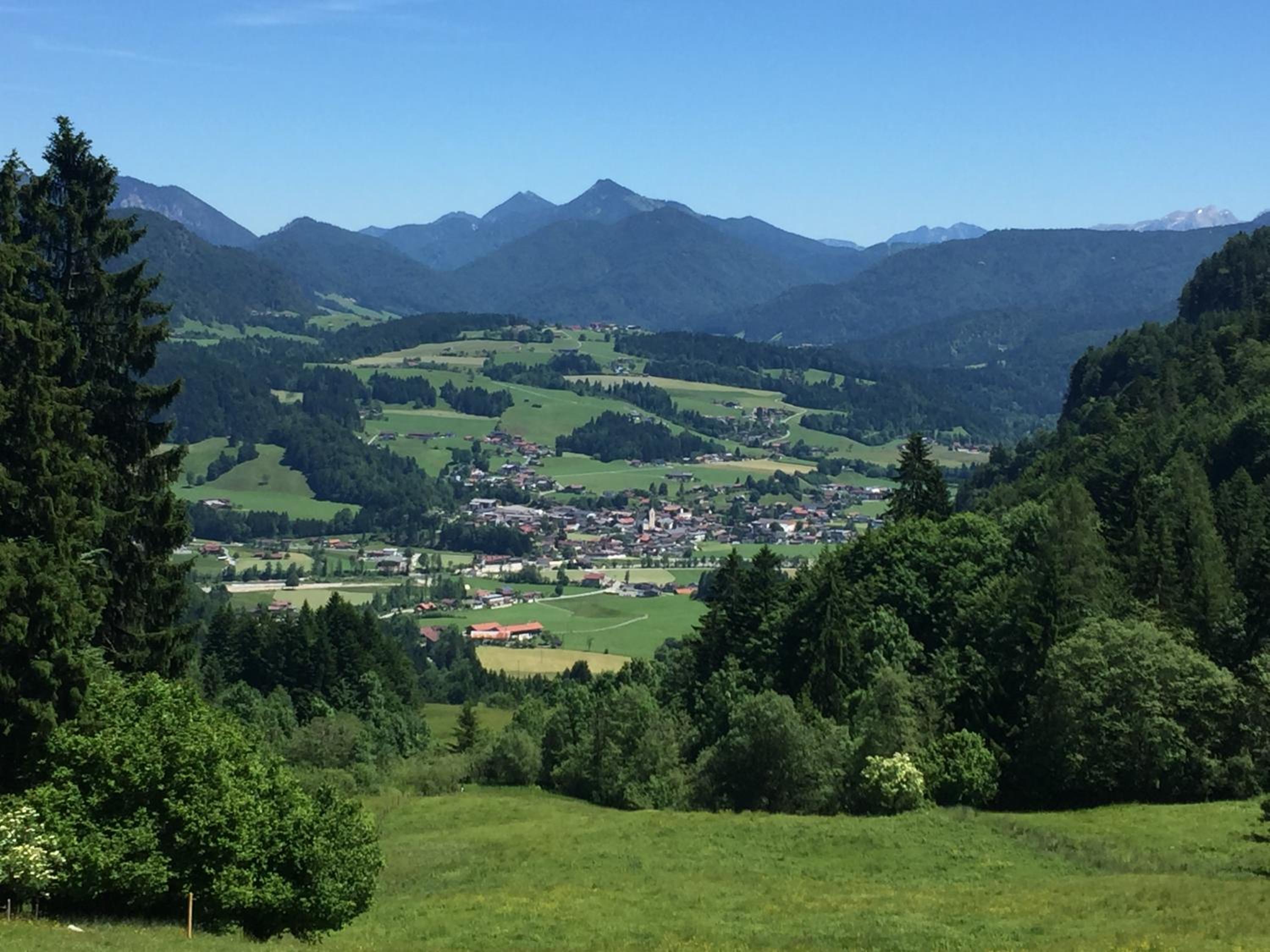 Riedlhof
