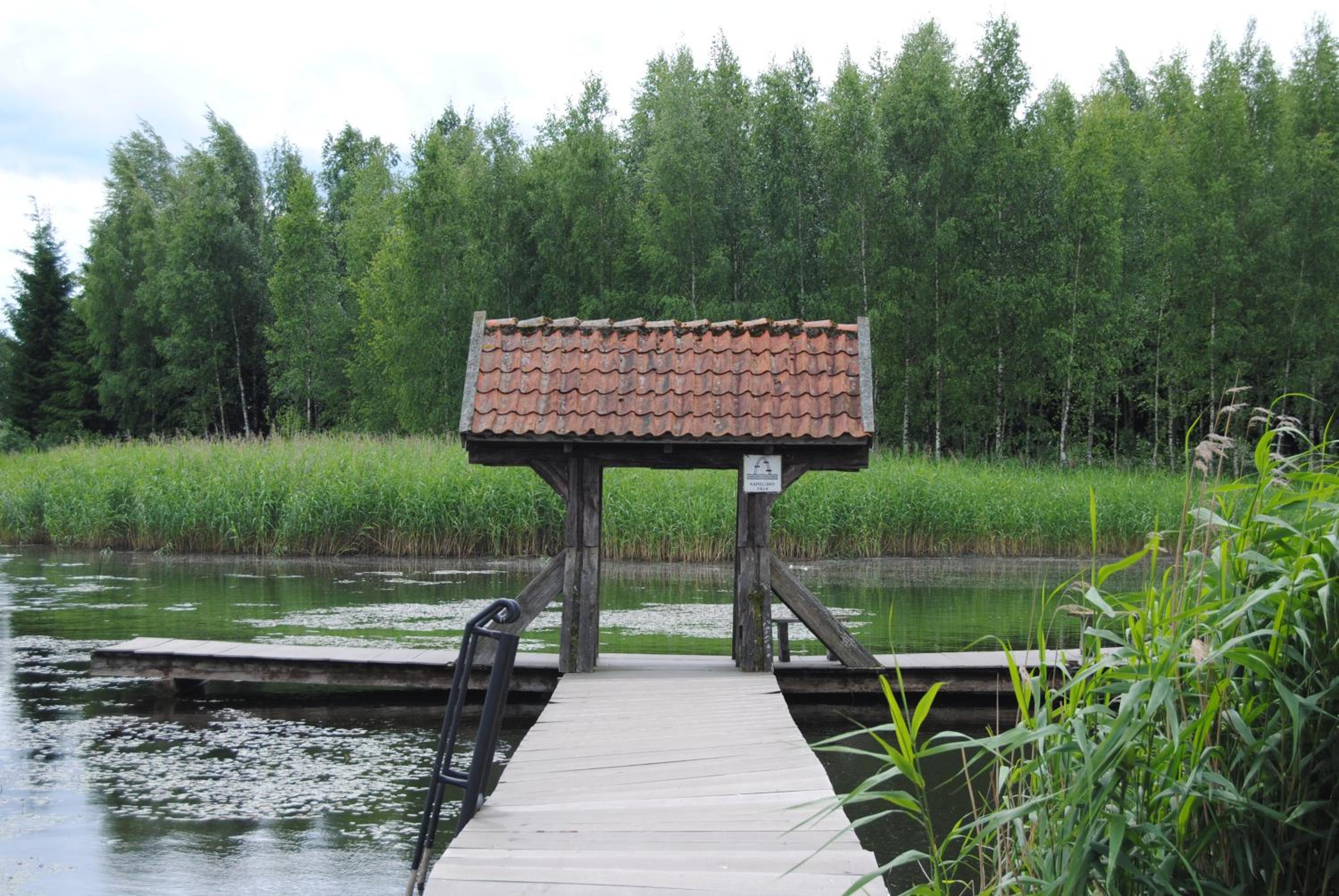 Photo 41