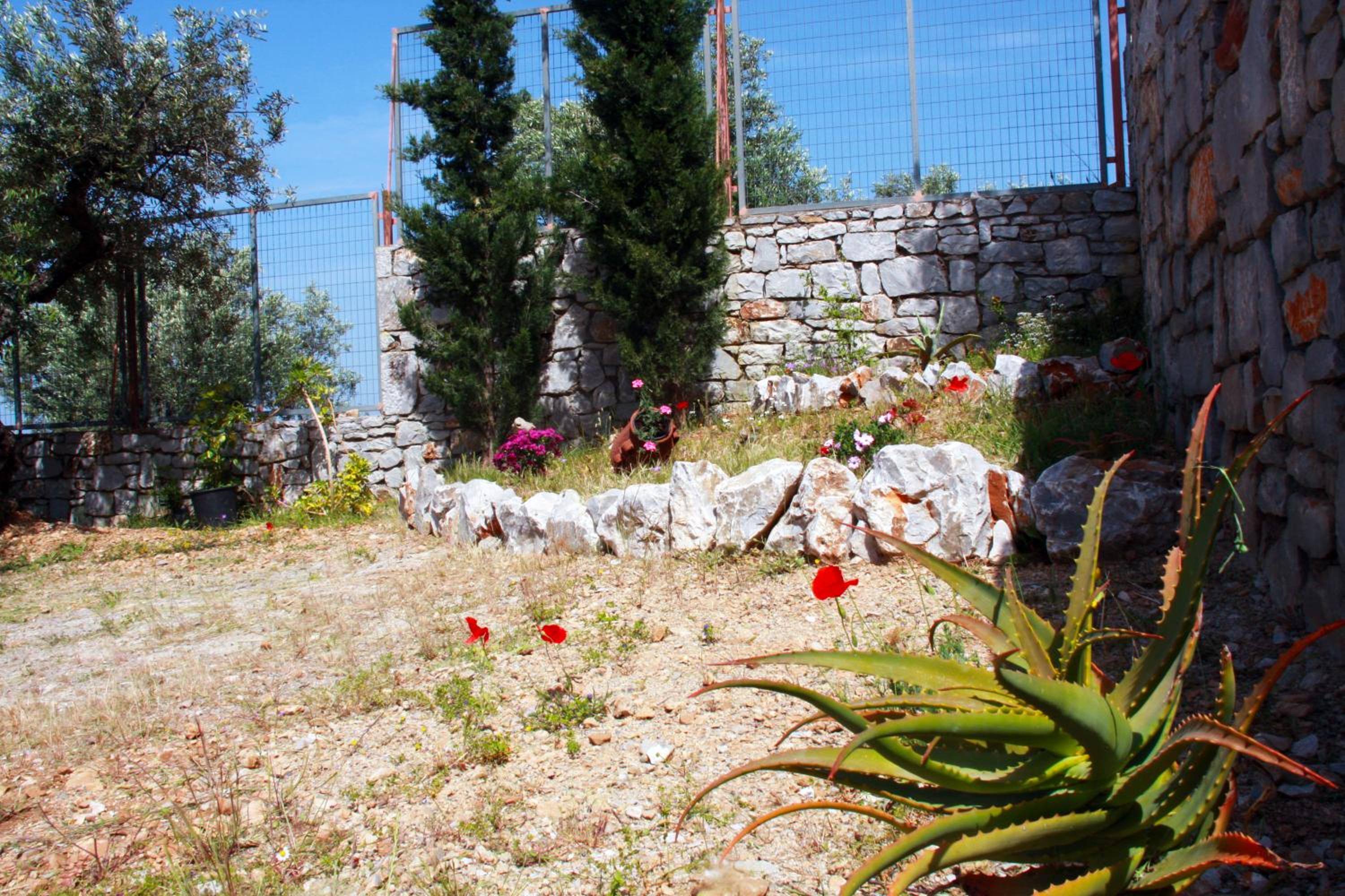 Photo 42
