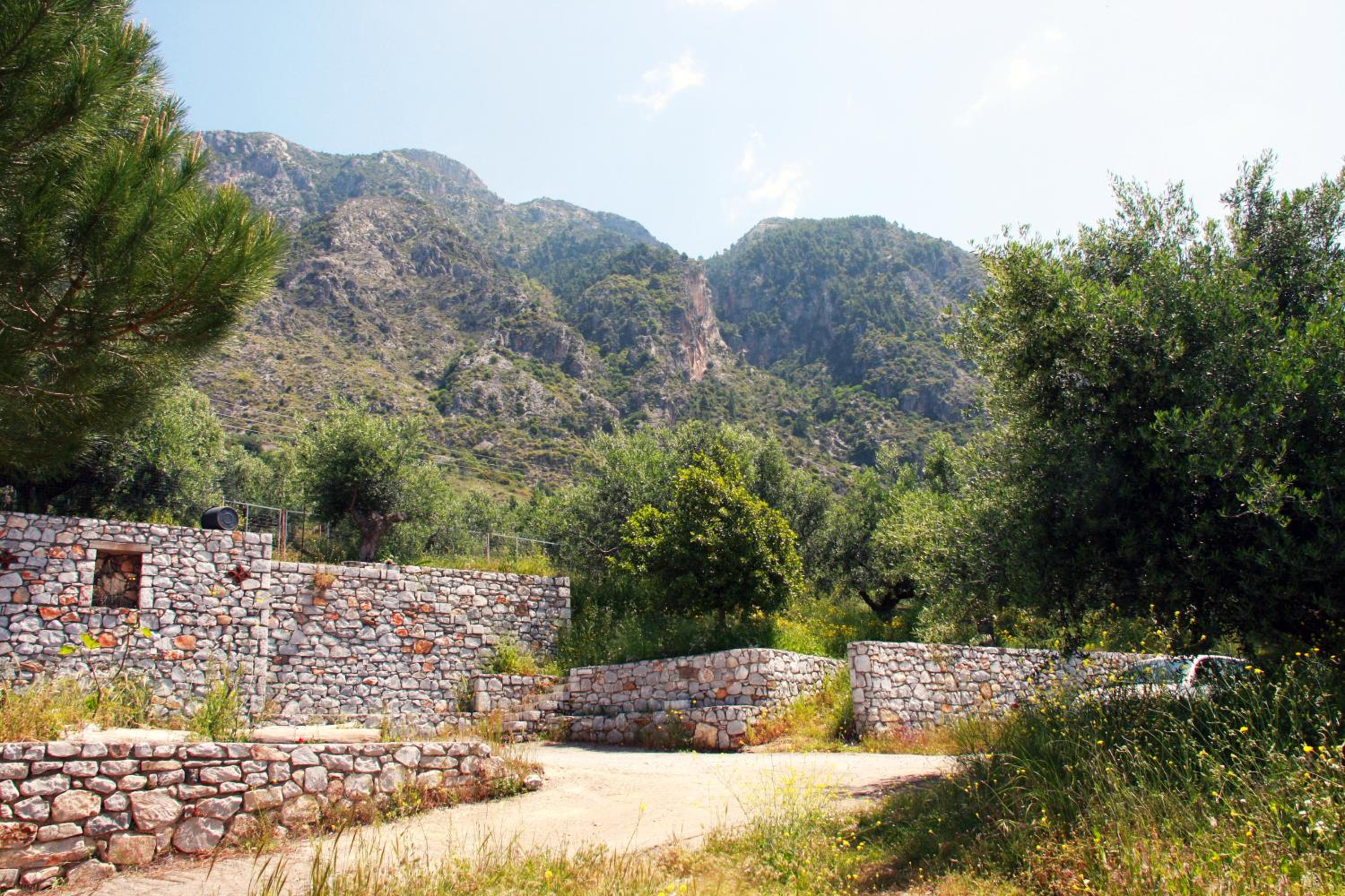 Photo 39