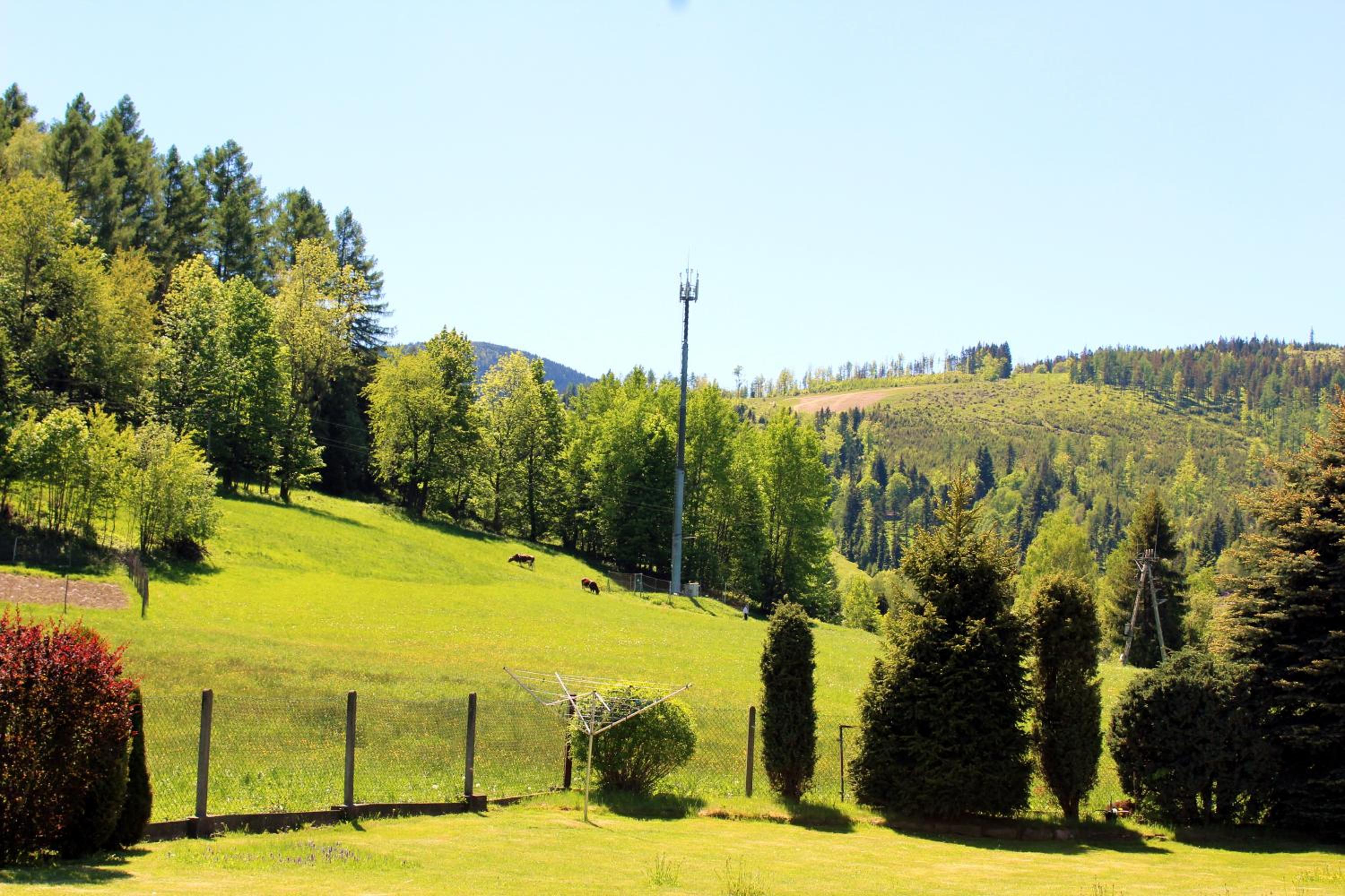 Photo 40