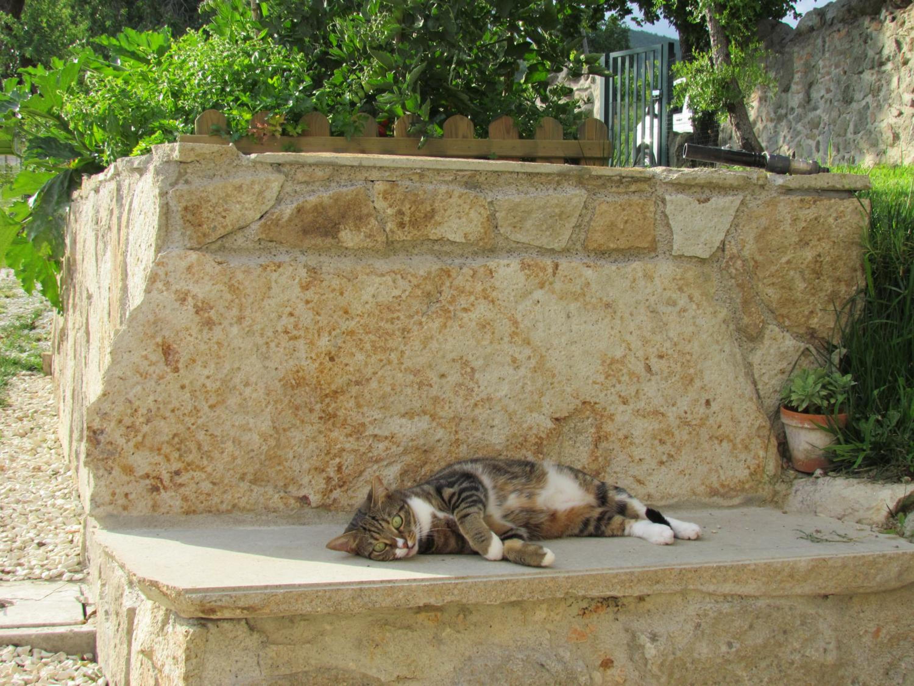 Photo 38