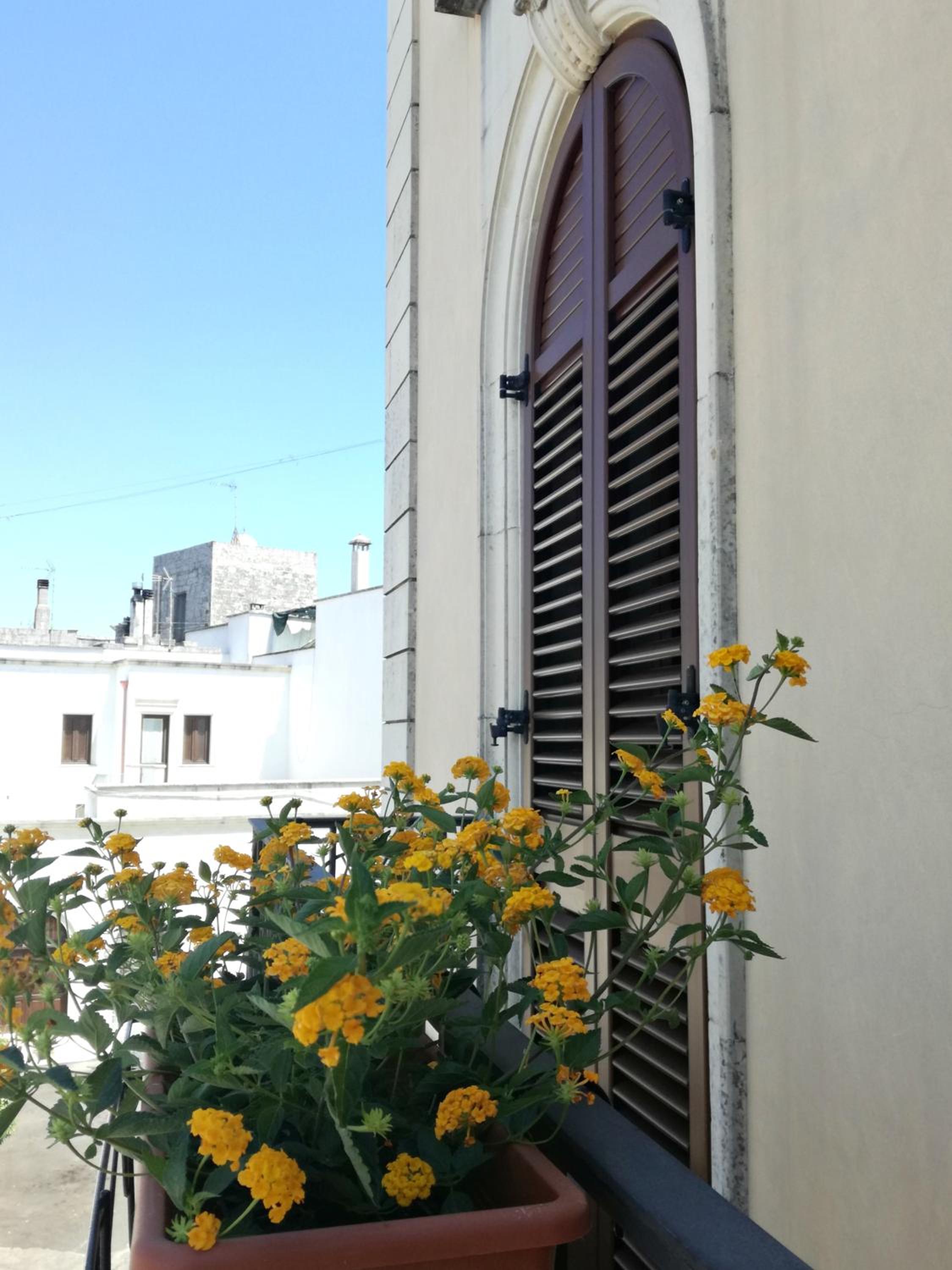 La Stella di Keplero