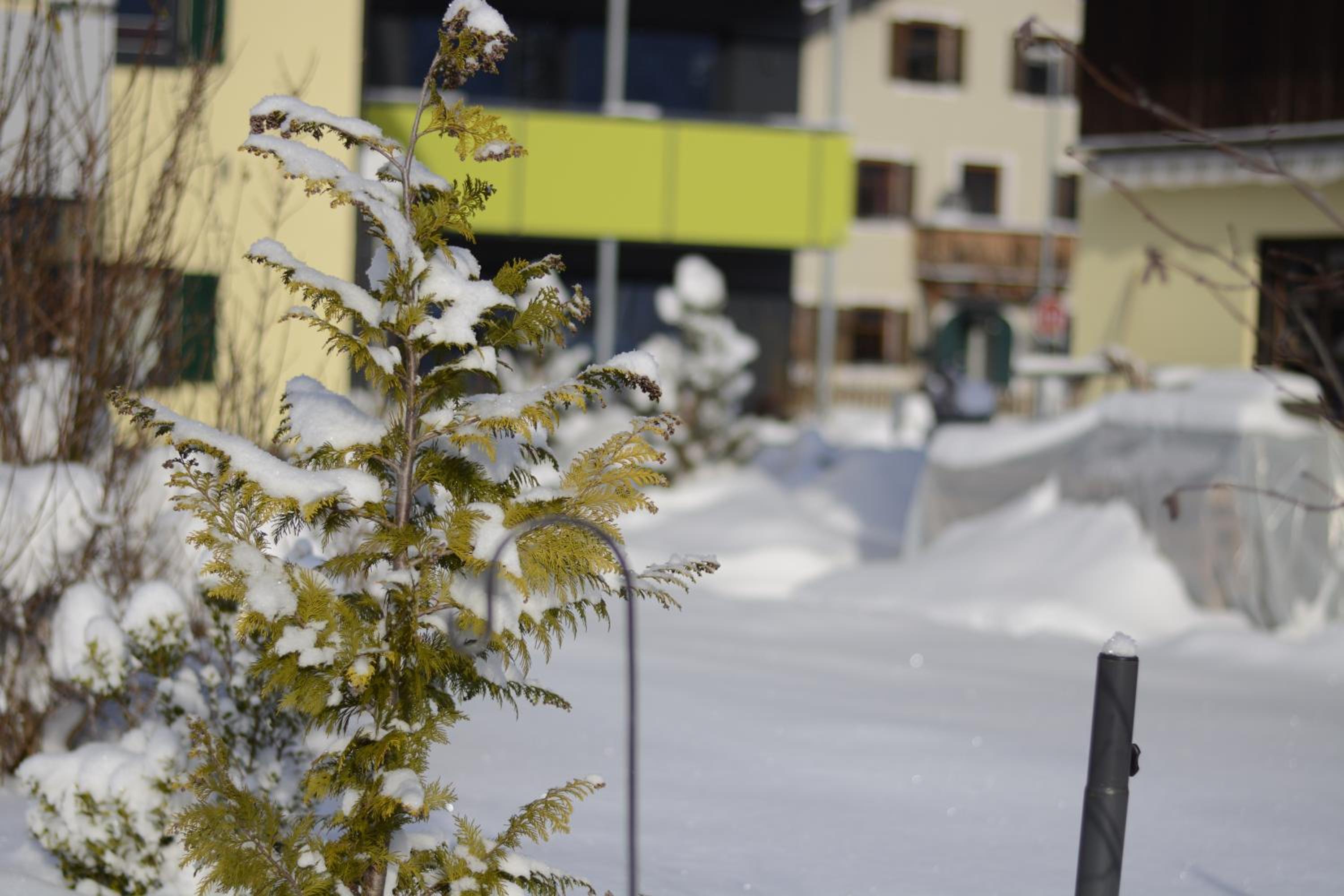 Alpenapart Singer - contactless check-in