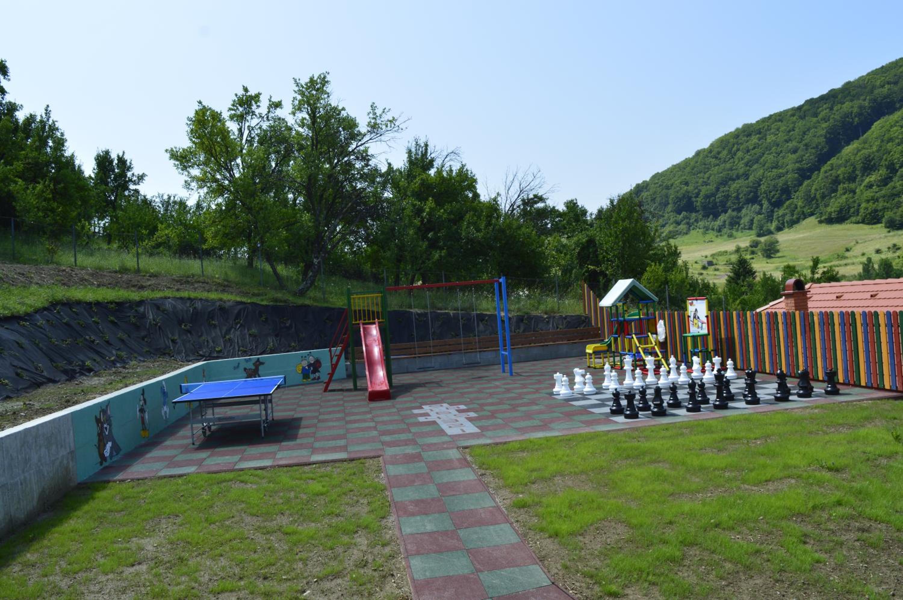 Photo 7