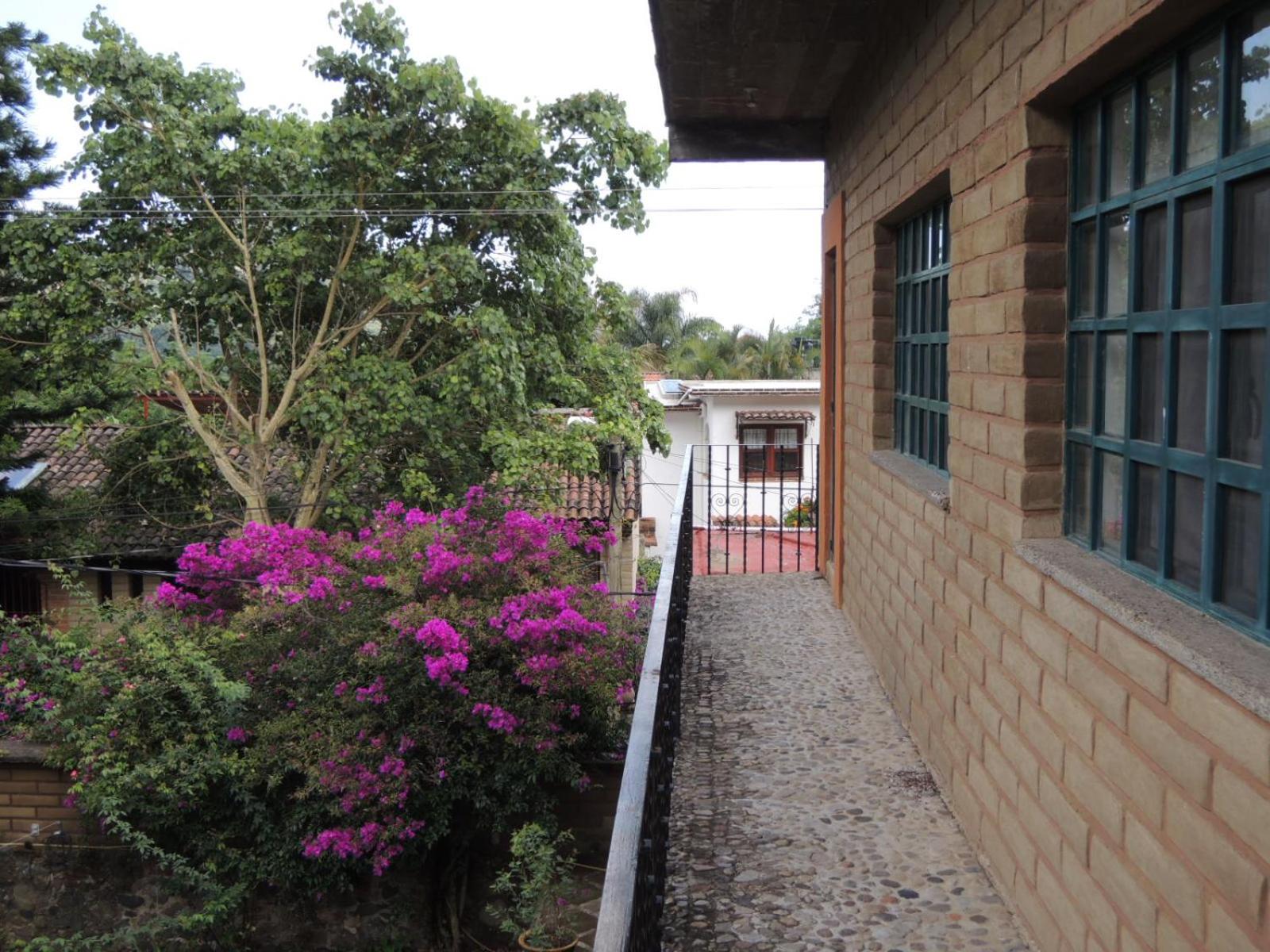 Ollin Calli Hostal-Temazcal view 2