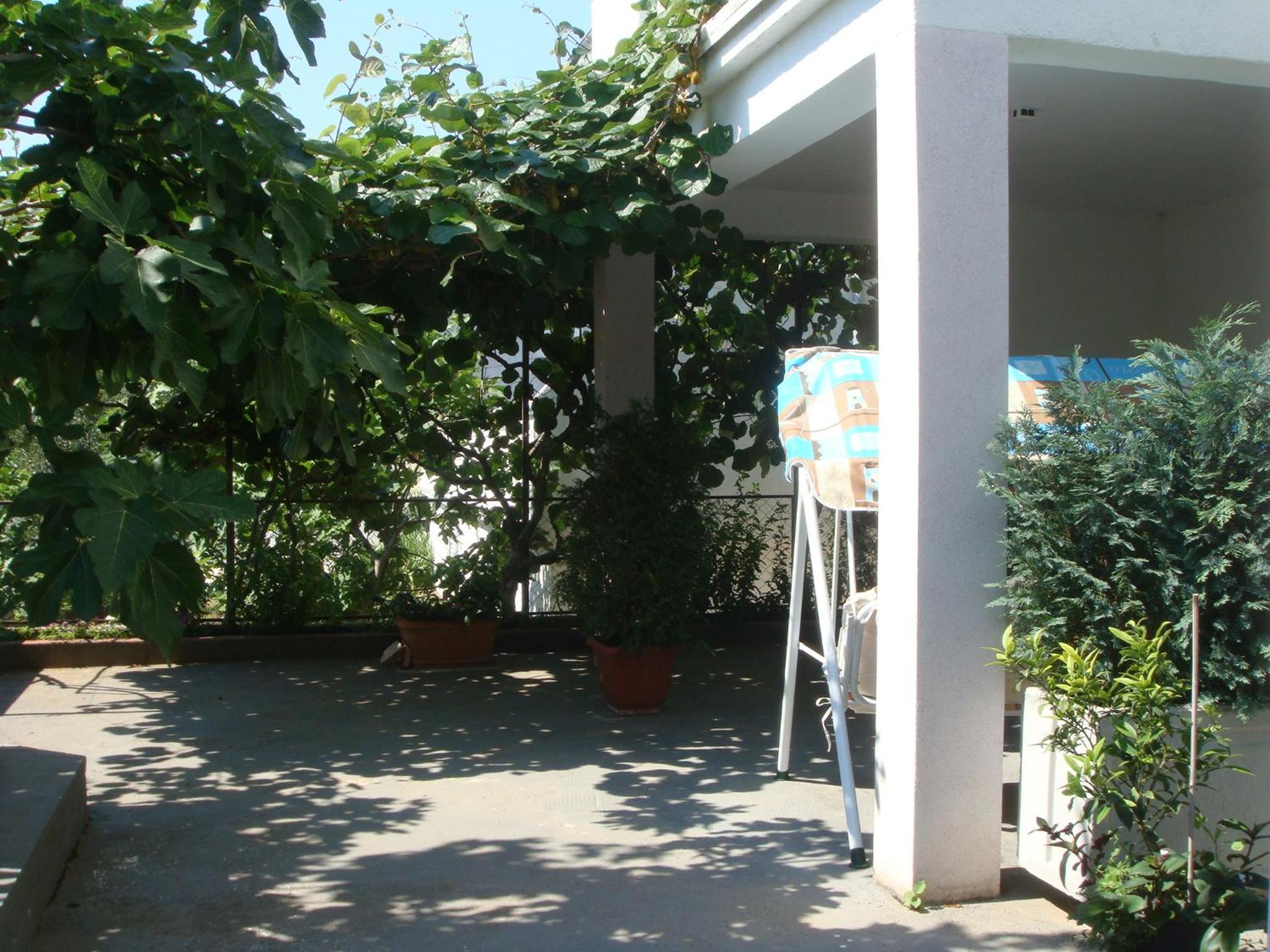 Photo 33