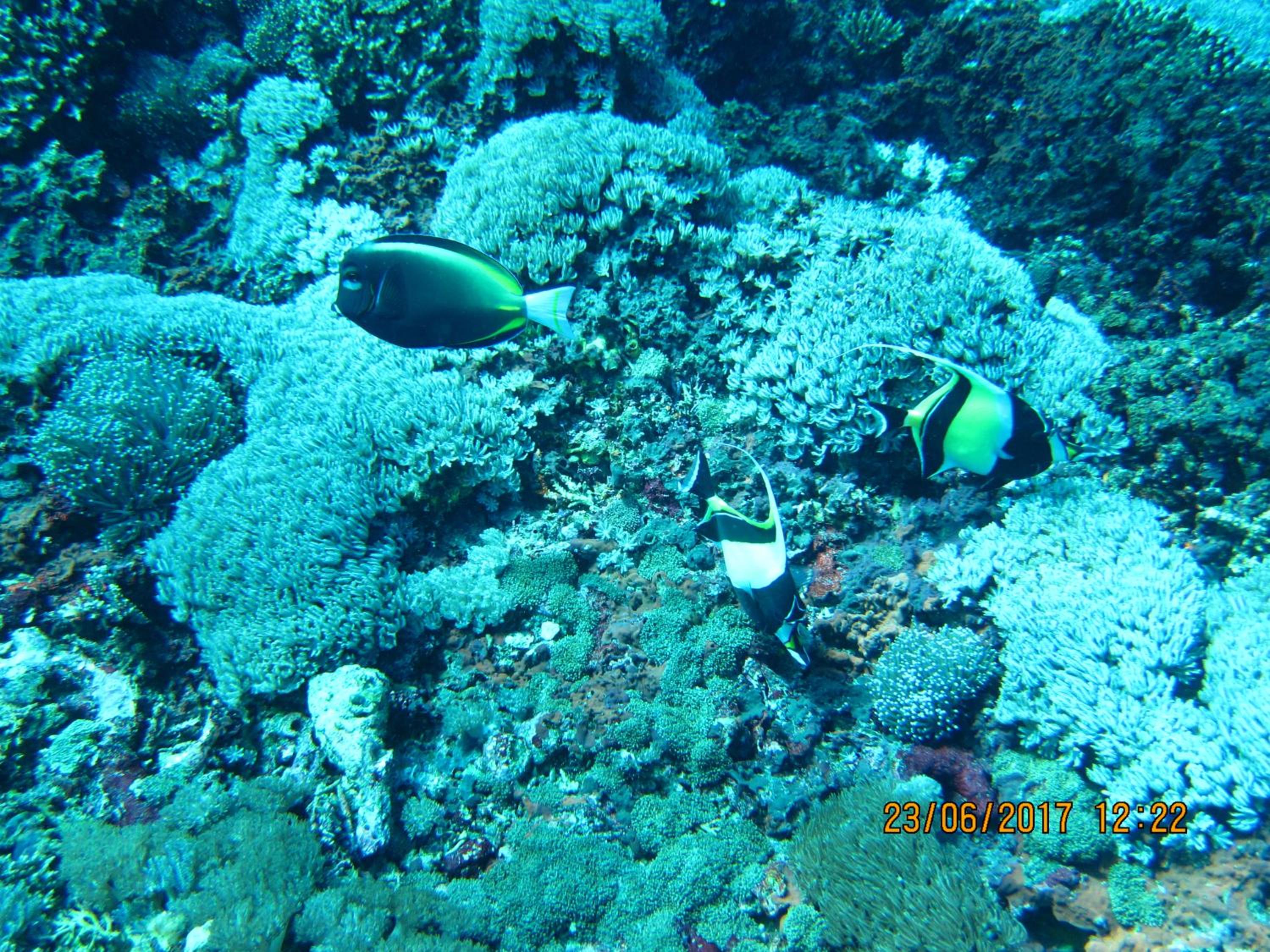 Putra 7 Cottage